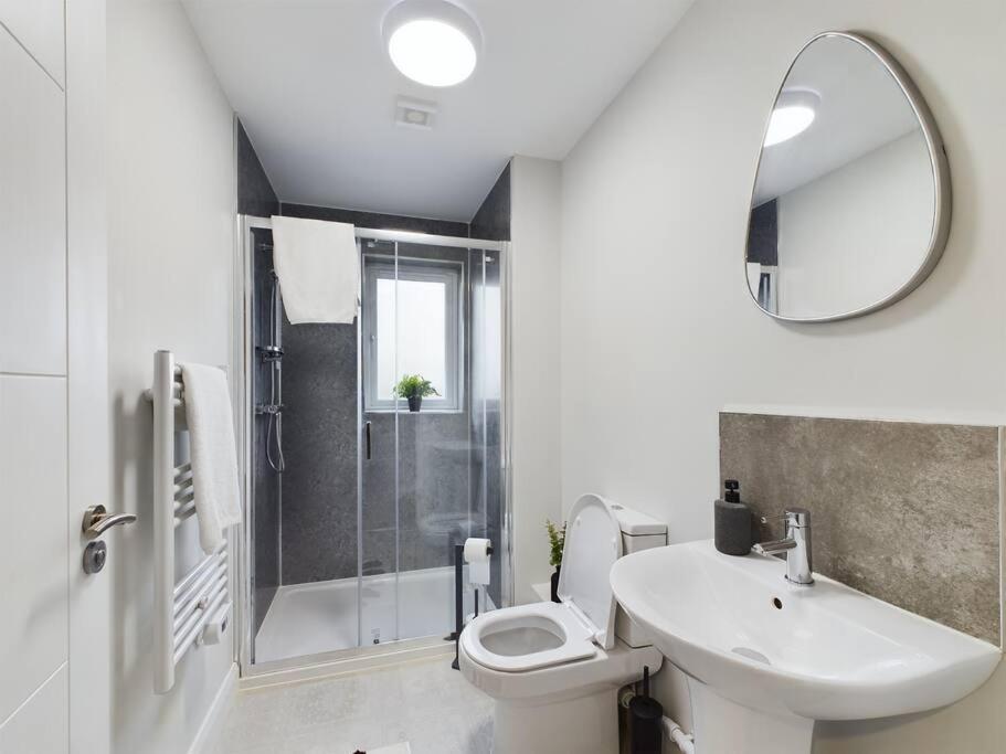 Cozy 2-Bed Belfast Apartment view 4