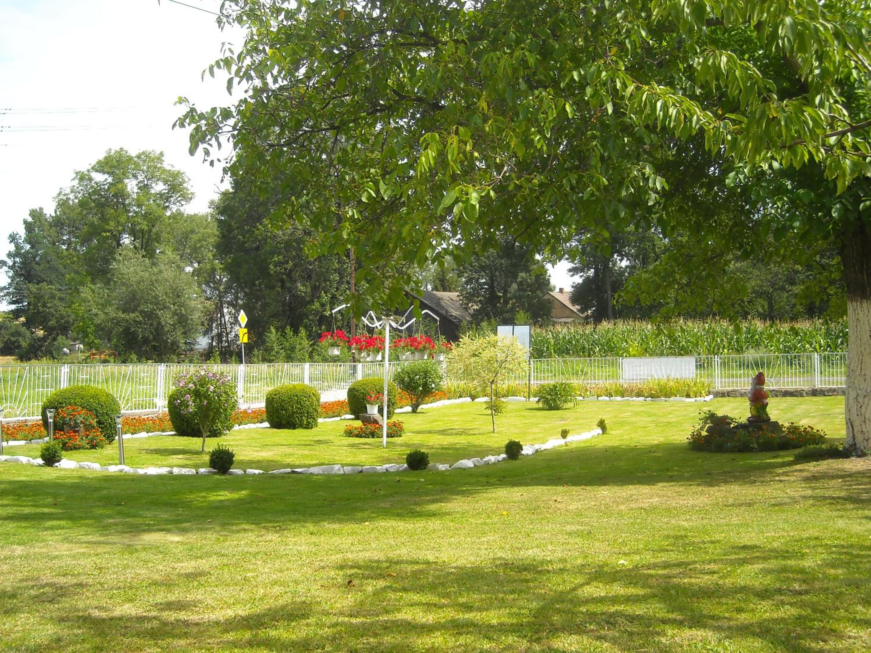 Photo 8