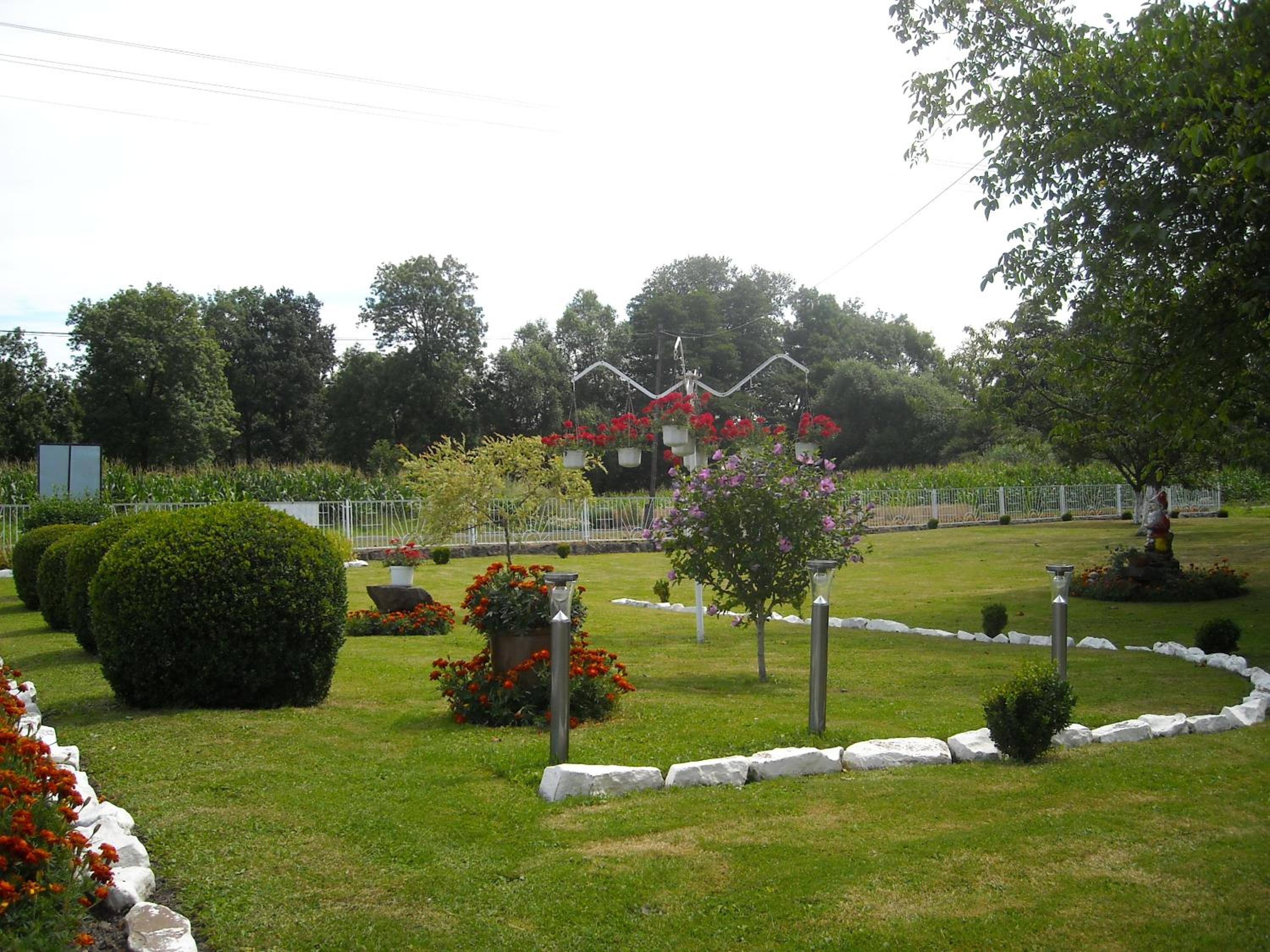 Photo 9