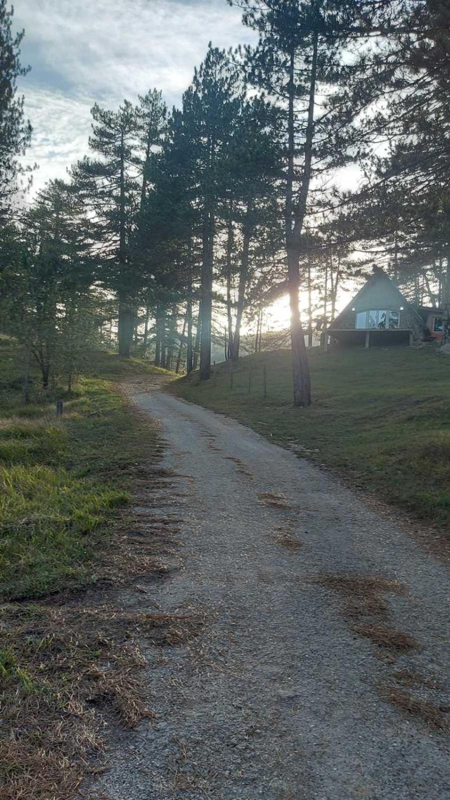Vila Bijeli Put