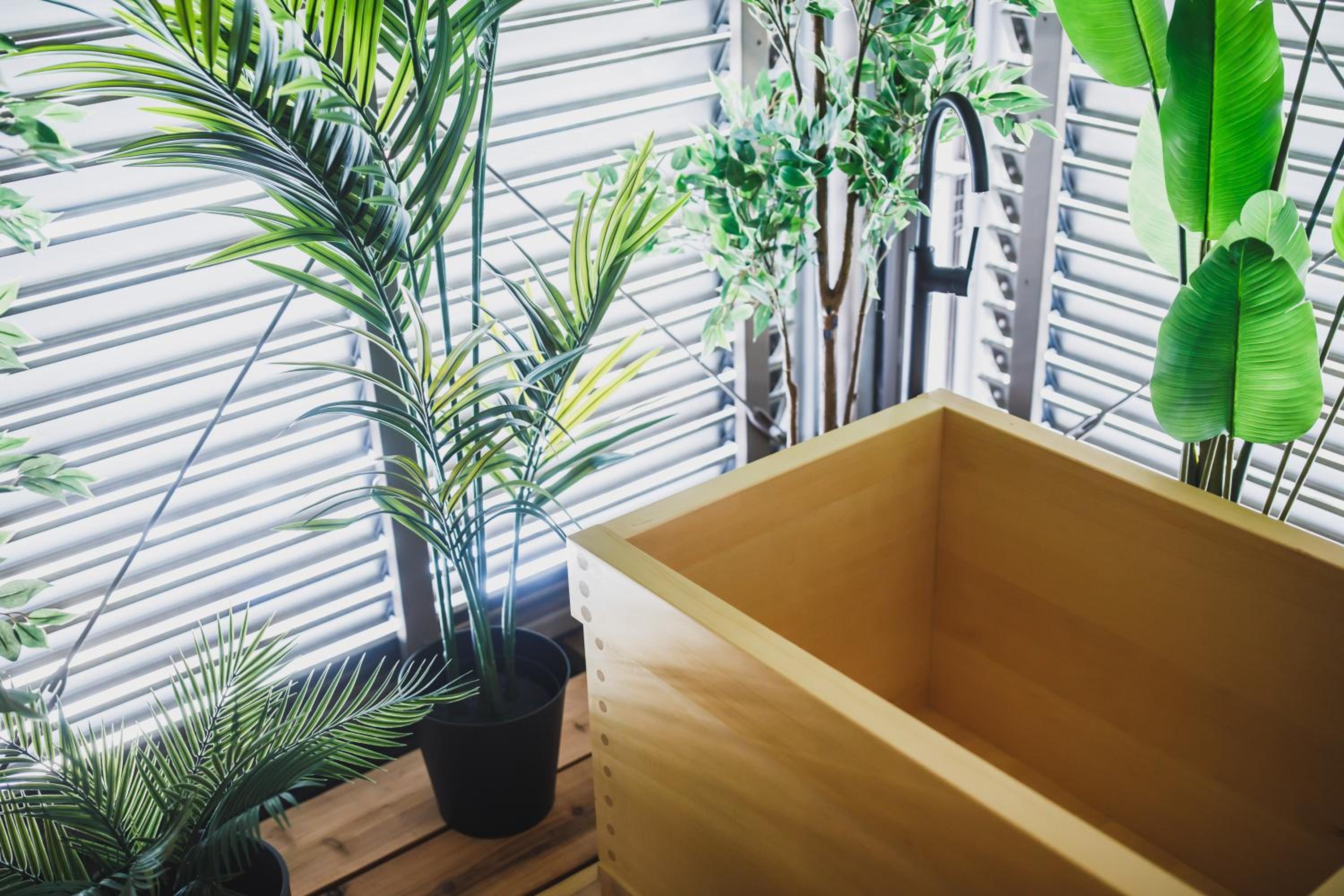 R Residence 天下茶屋 IV