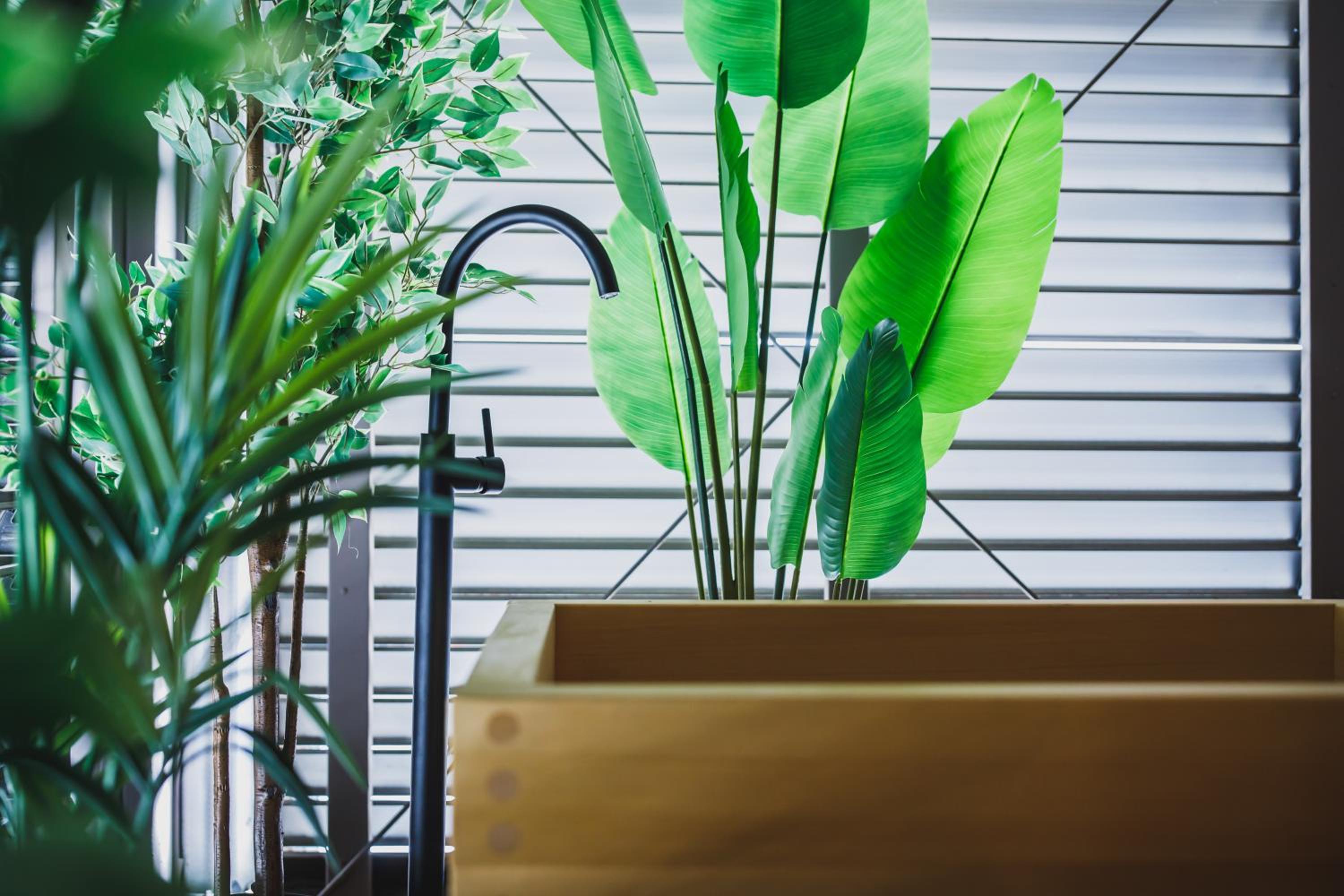 R Residence 天下茶屋 IV