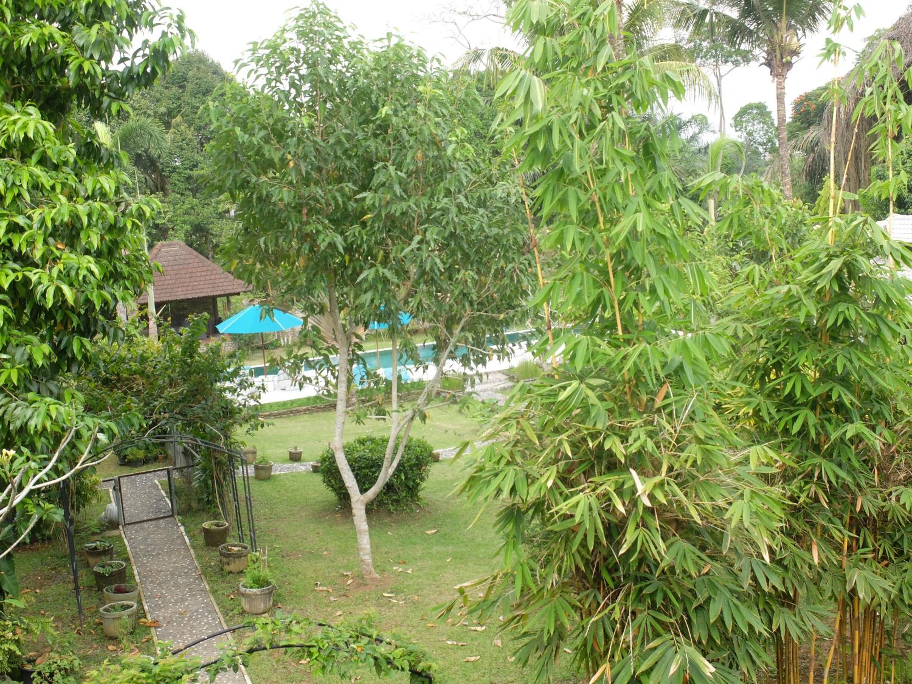 Photo 40