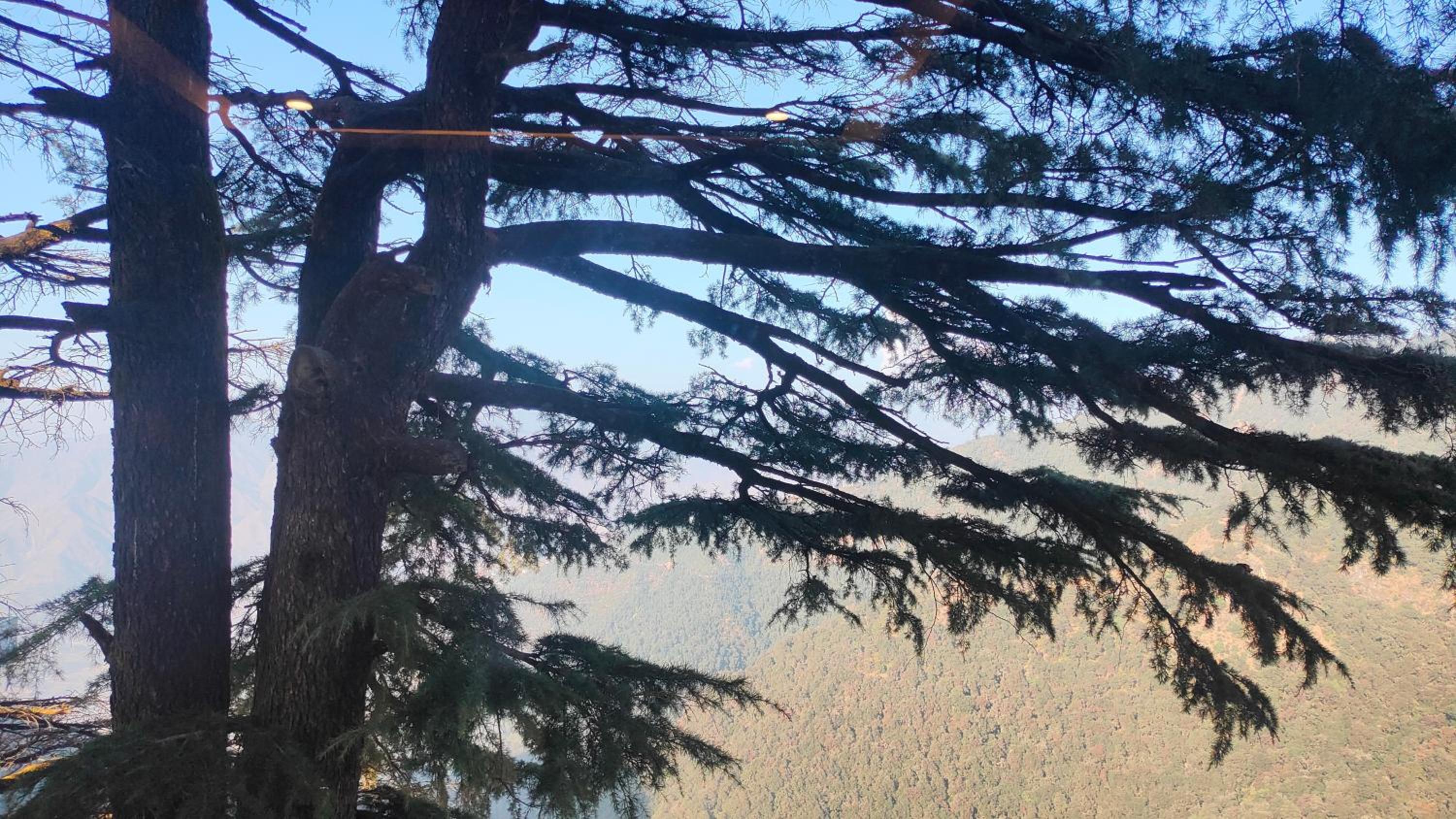 Nuts Fort Cottage Homestay Mussoorie Uttarakhand