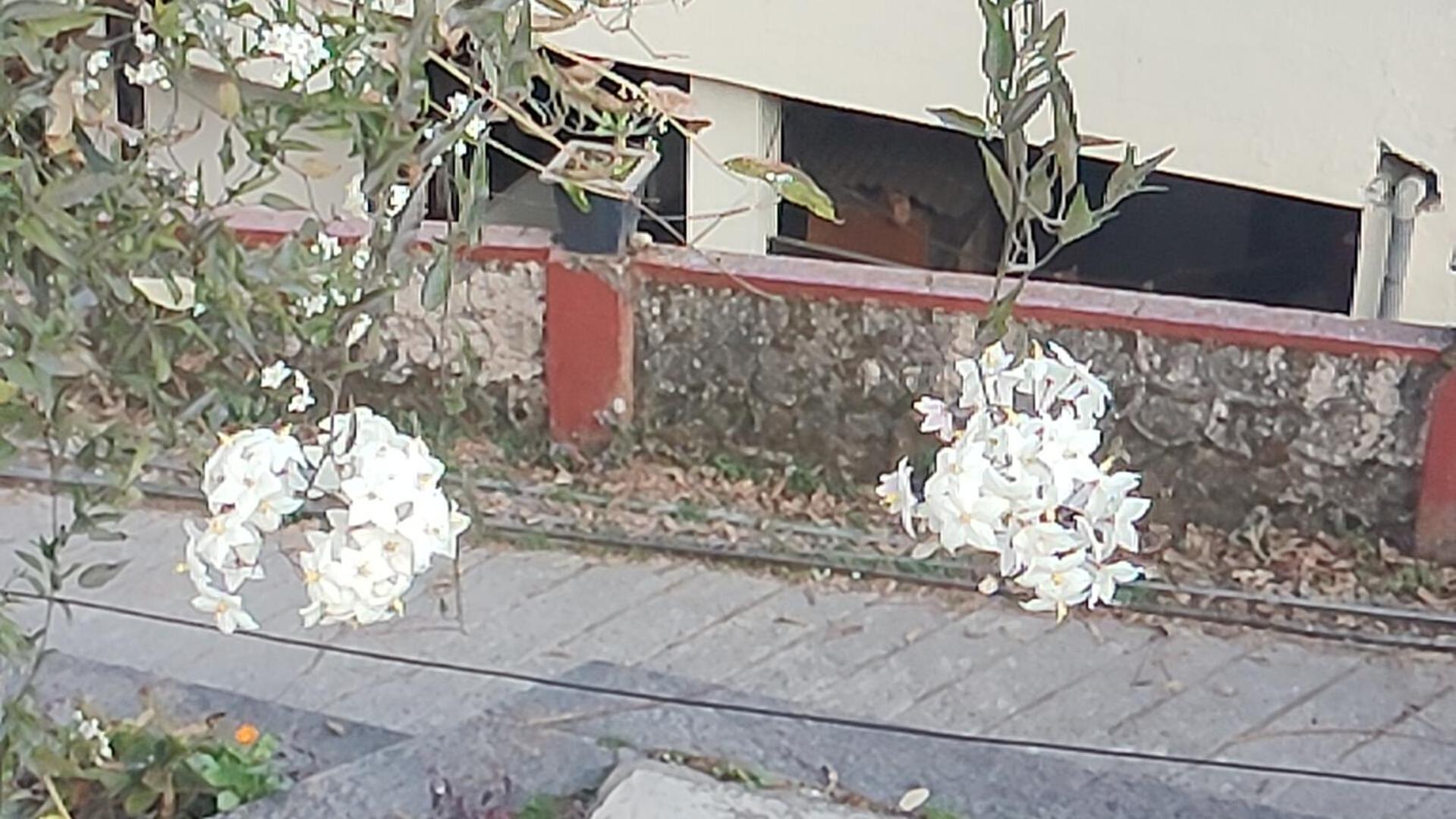 Nuts Fort Cottage Homestay Mussoorie Uttarakhand