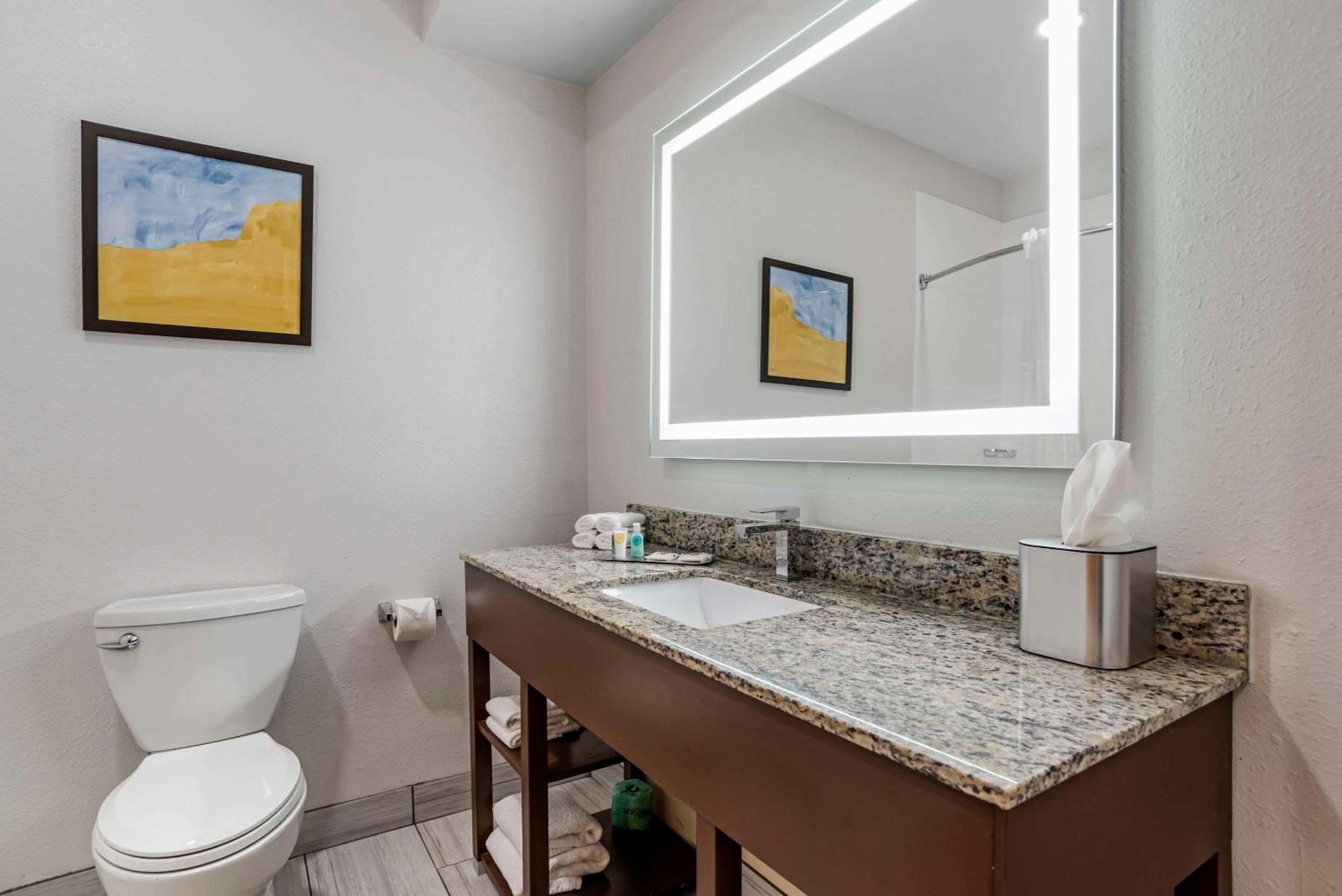 Hattiesburg Vacations - Comfort Suites Hattiesburg - Property Image 41