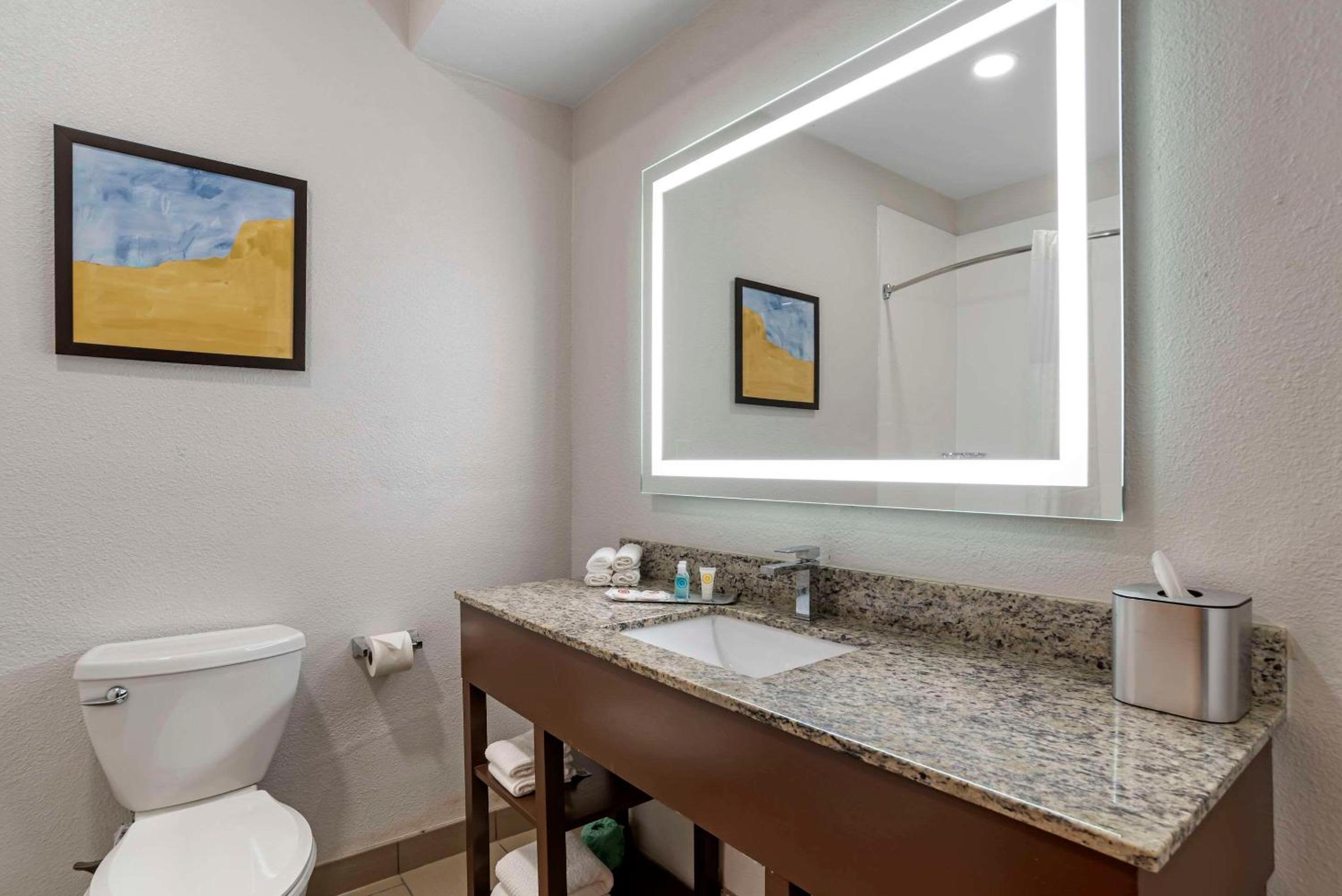 Hattiesburg Vacations - Comfort Suites Hattiesburg - Property Image 45