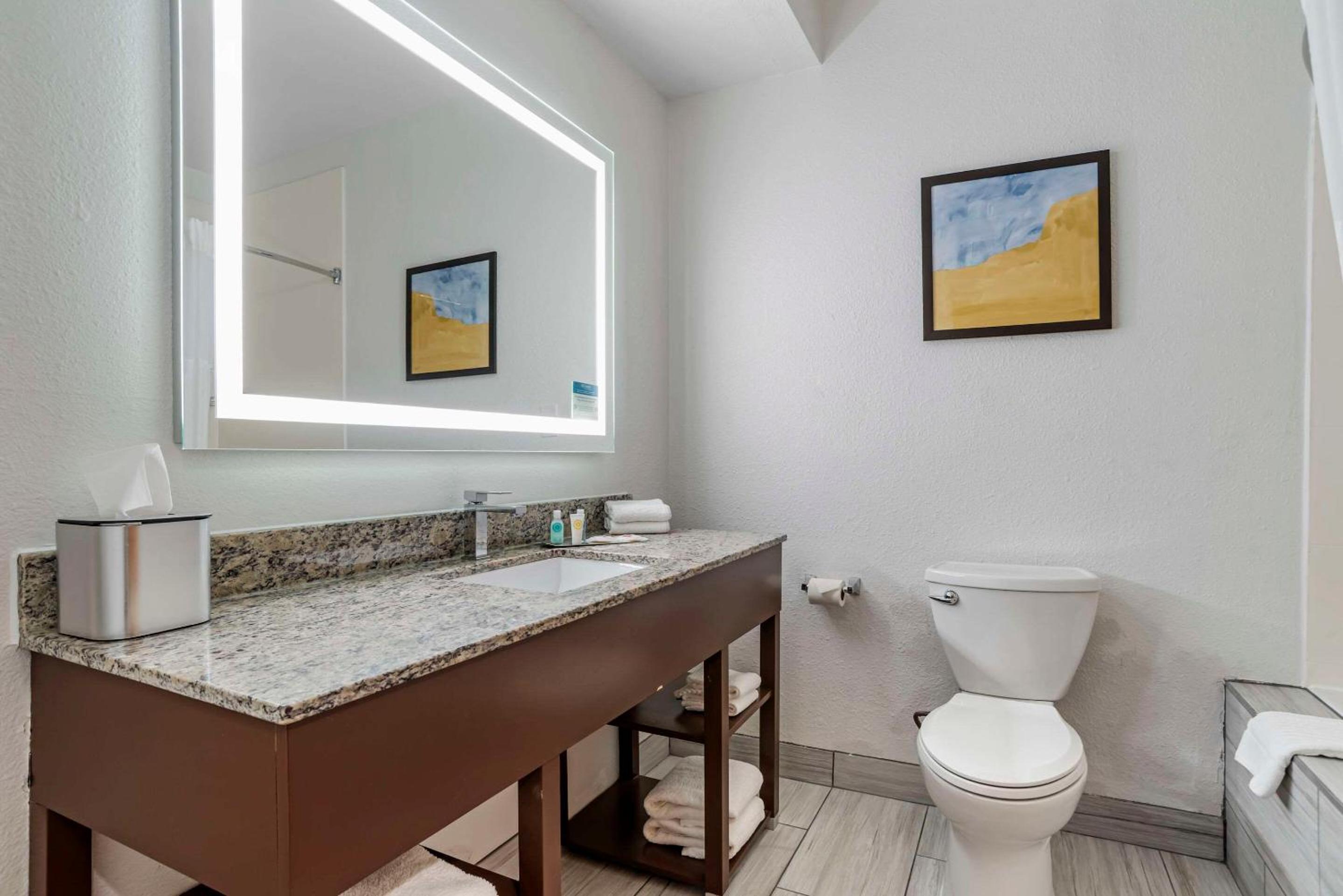 Hattiesburg Vacations - Comfort Suites Hattiesburg - Property Image 49