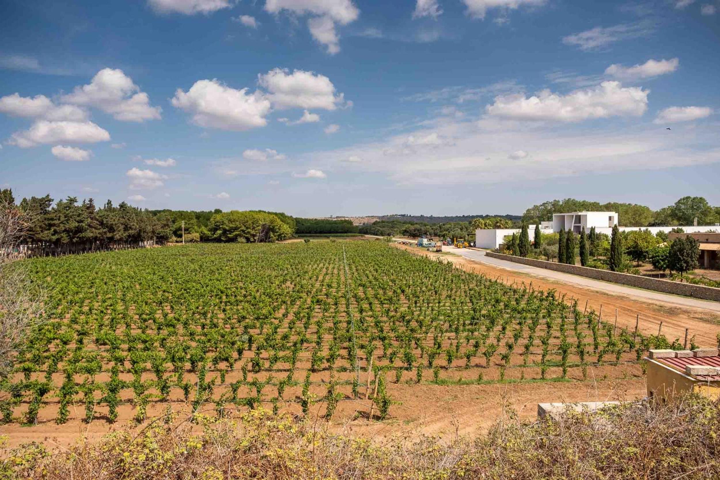 Tenuta Doxi