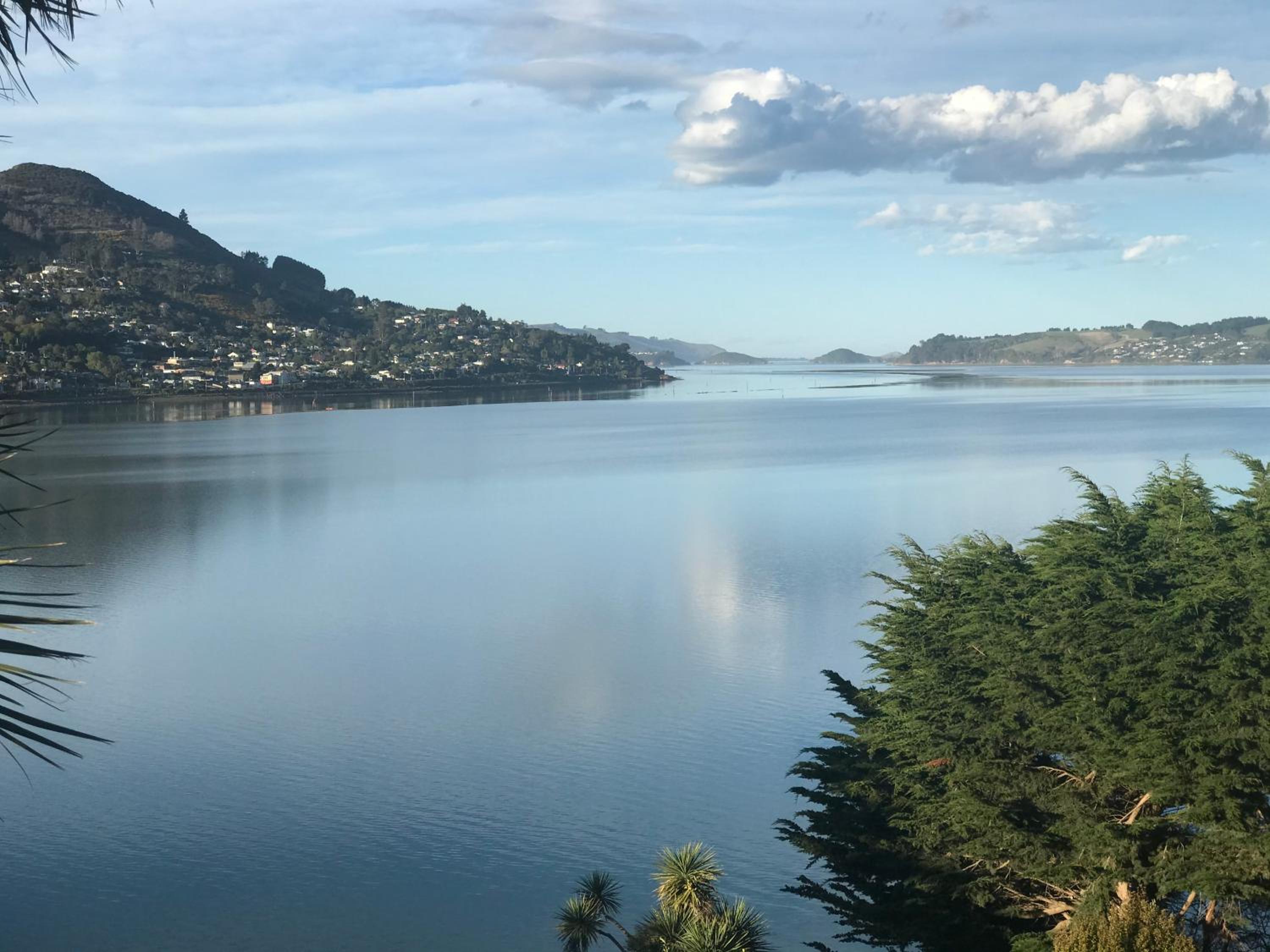 The Cove Cabin - your quiet escape view 2