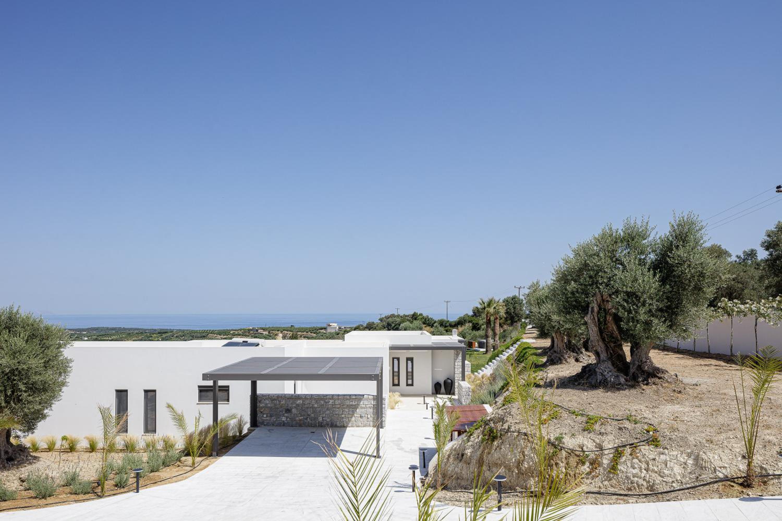 Villa Amna Olive MMXX view 4