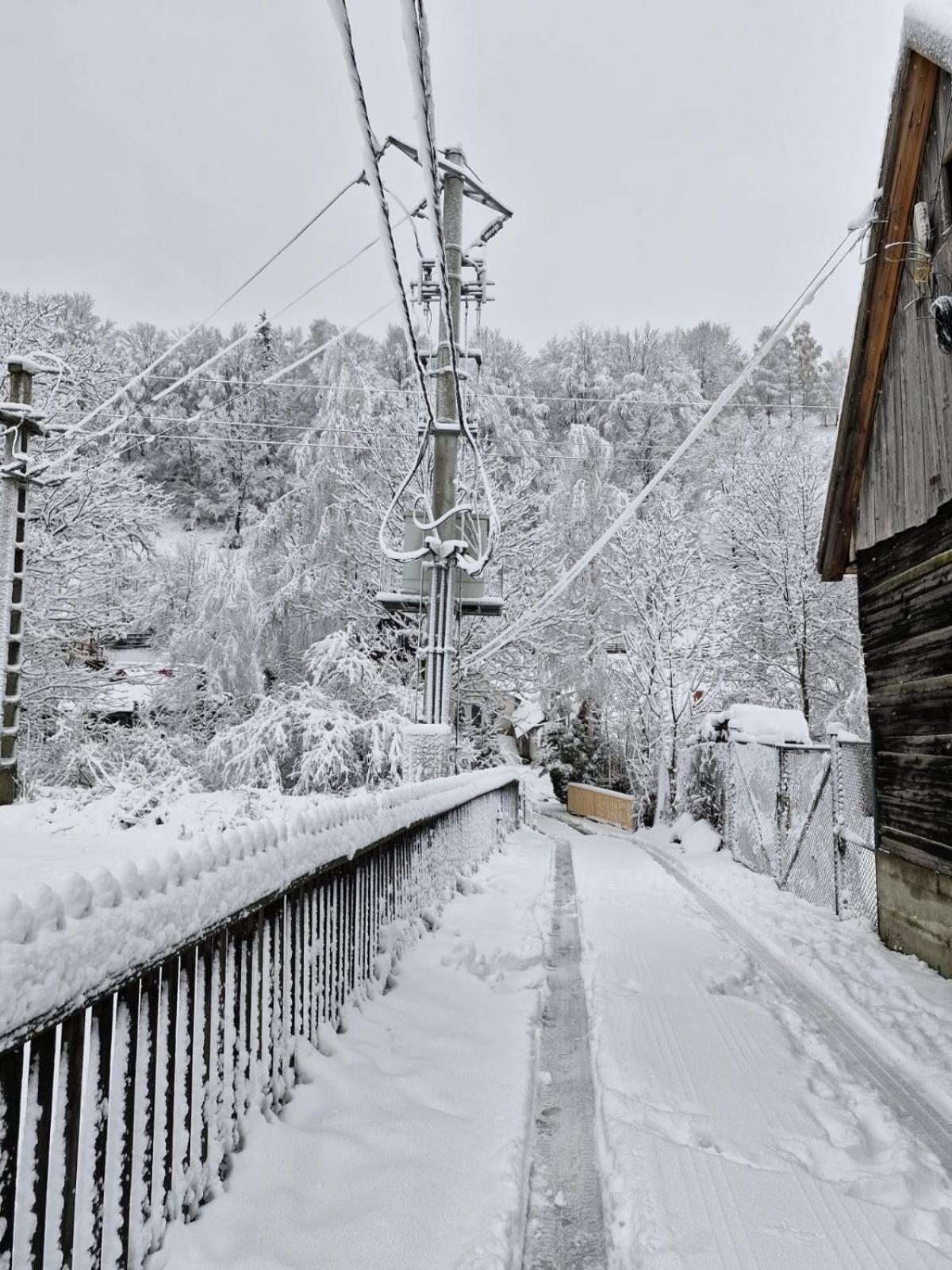 Rare Forest Retreat & Spa- Bran