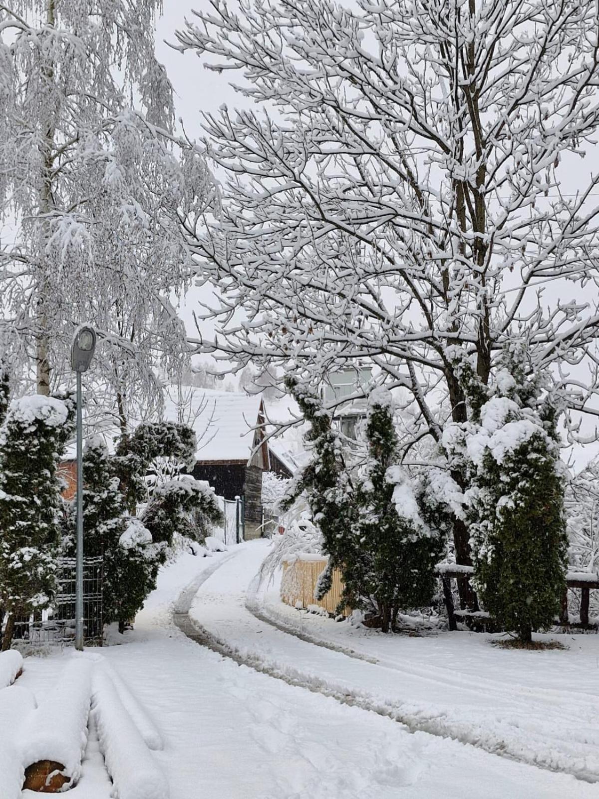 Rare Forest Retreat & Spa- Bran
