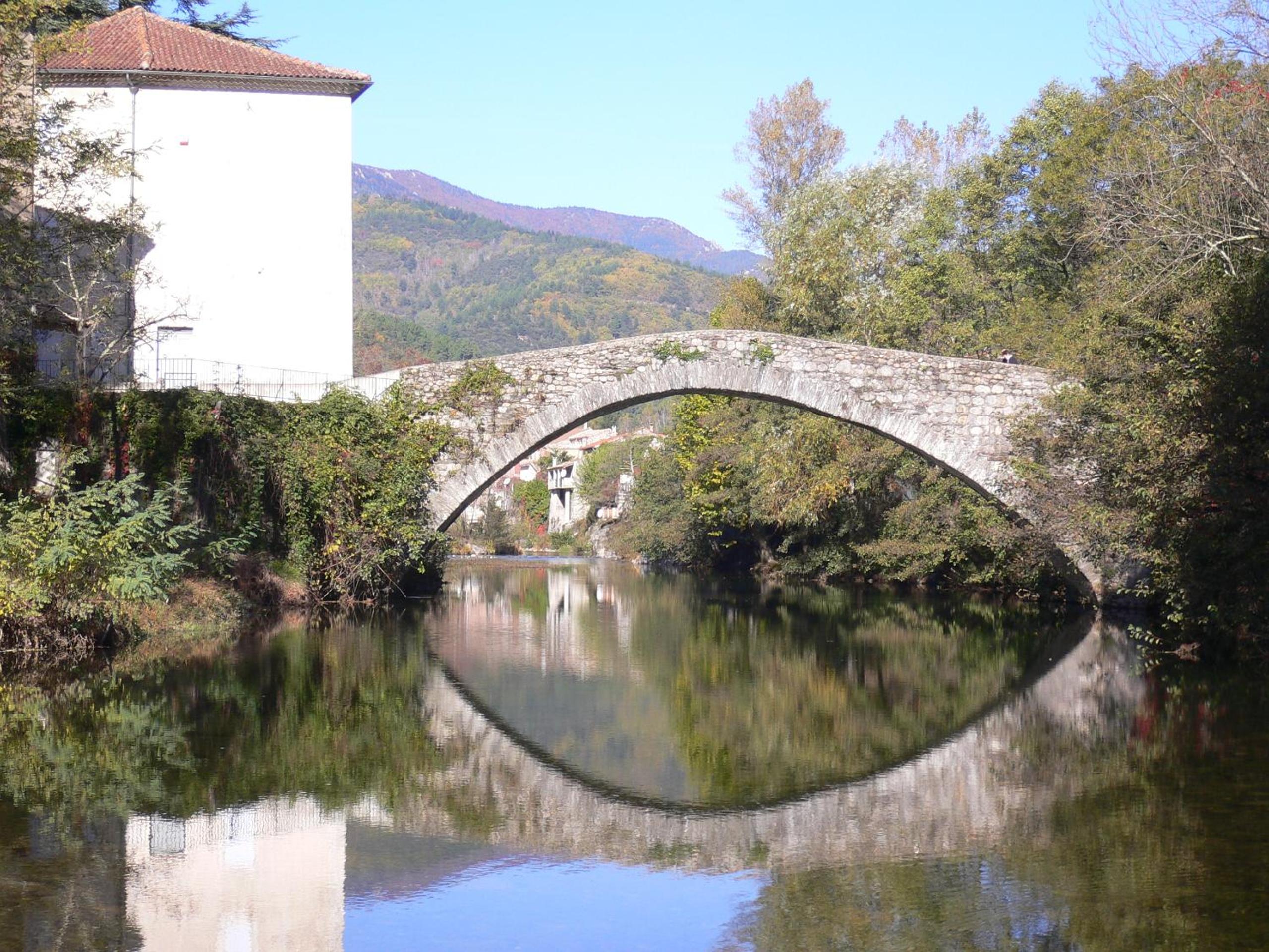 Photo 20