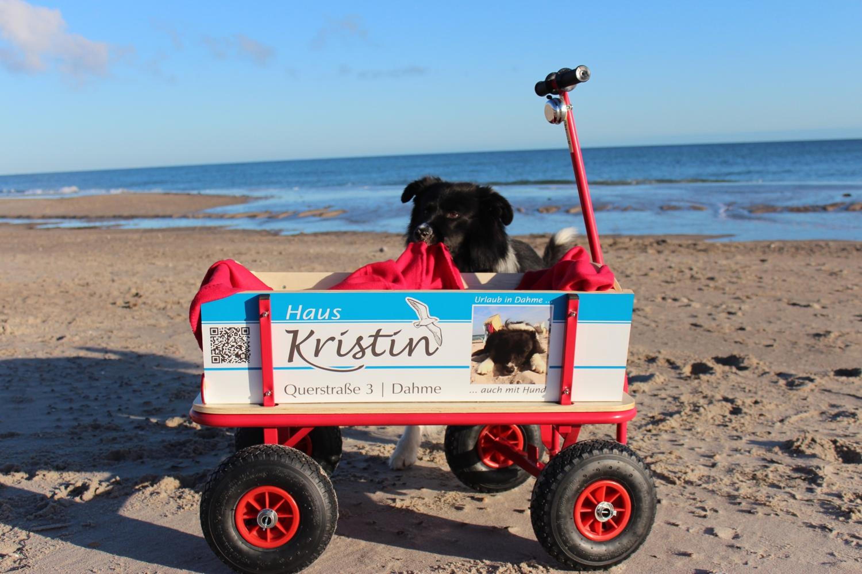 Kristin