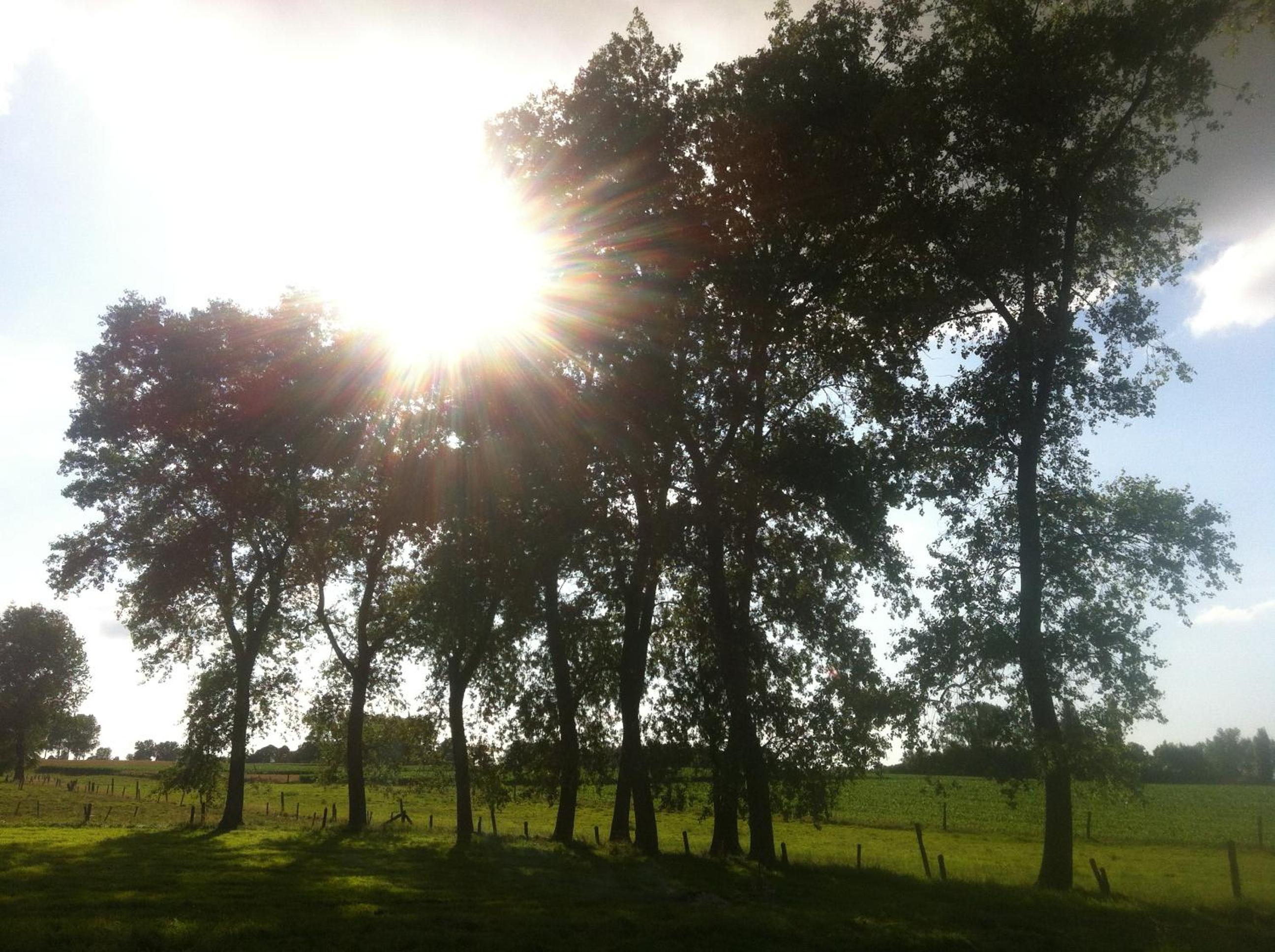 De Bronne