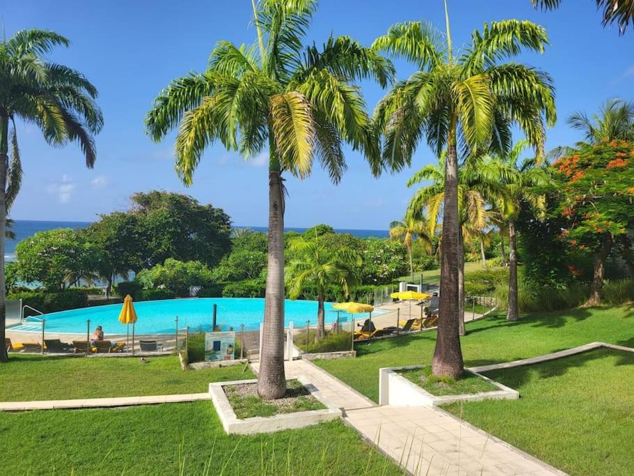 Studio prestige Coco Beach
