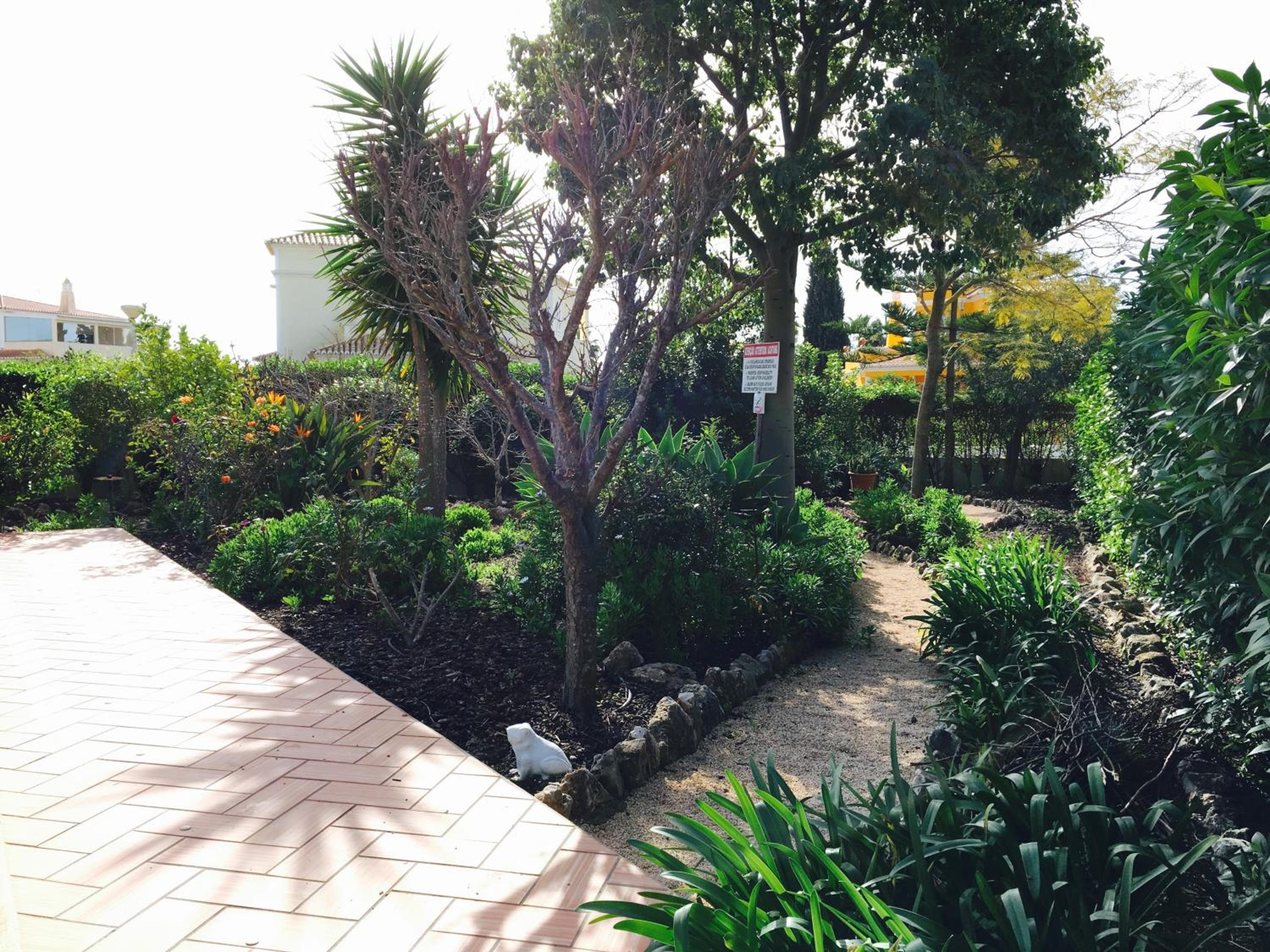 Photo 39