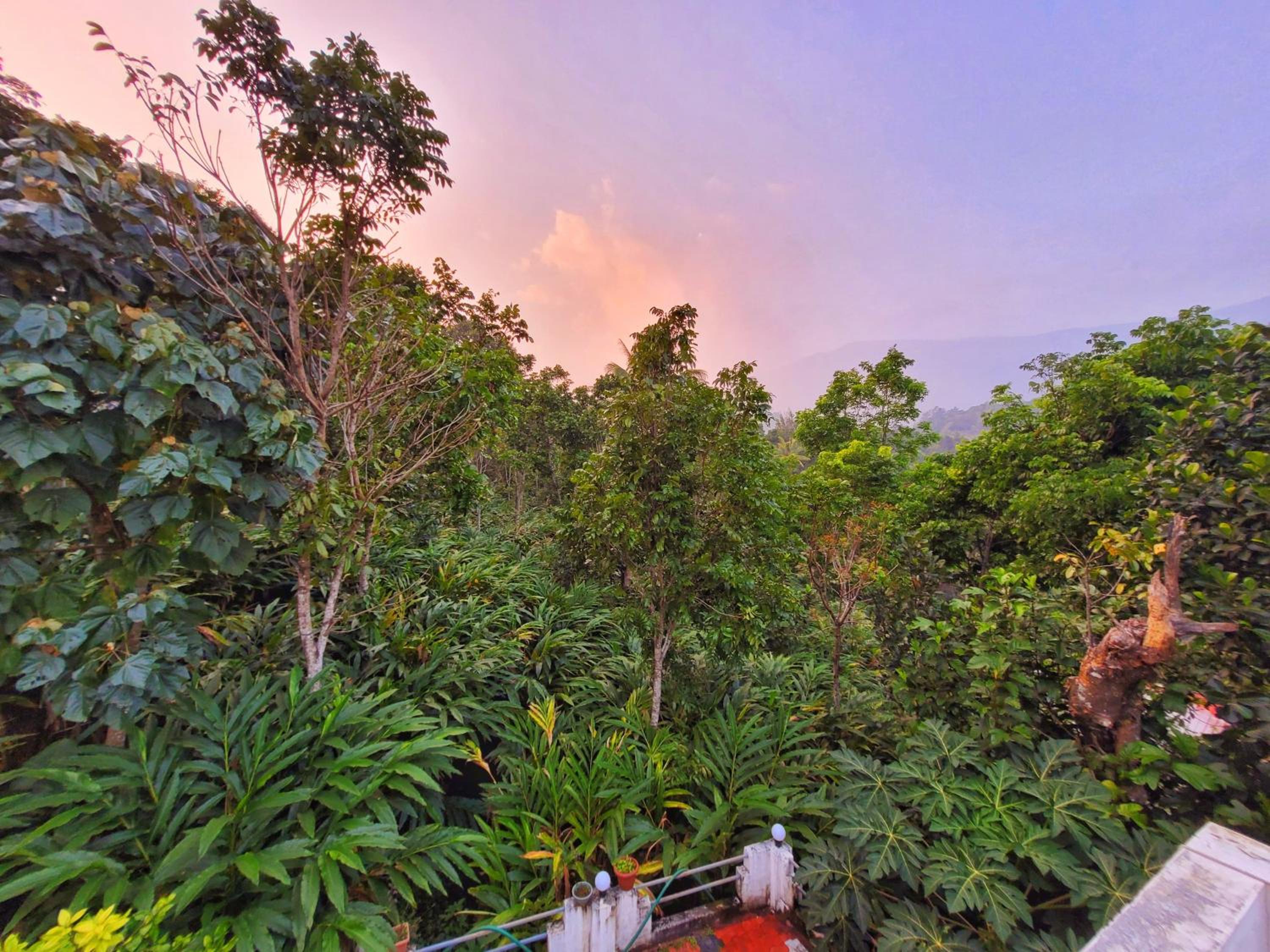 A one cottage