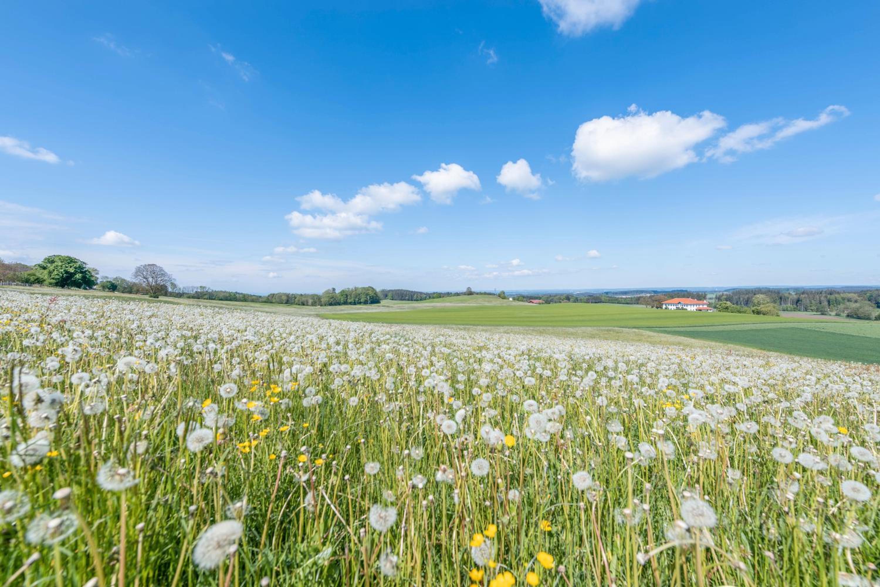 Ferienwohnung Stark