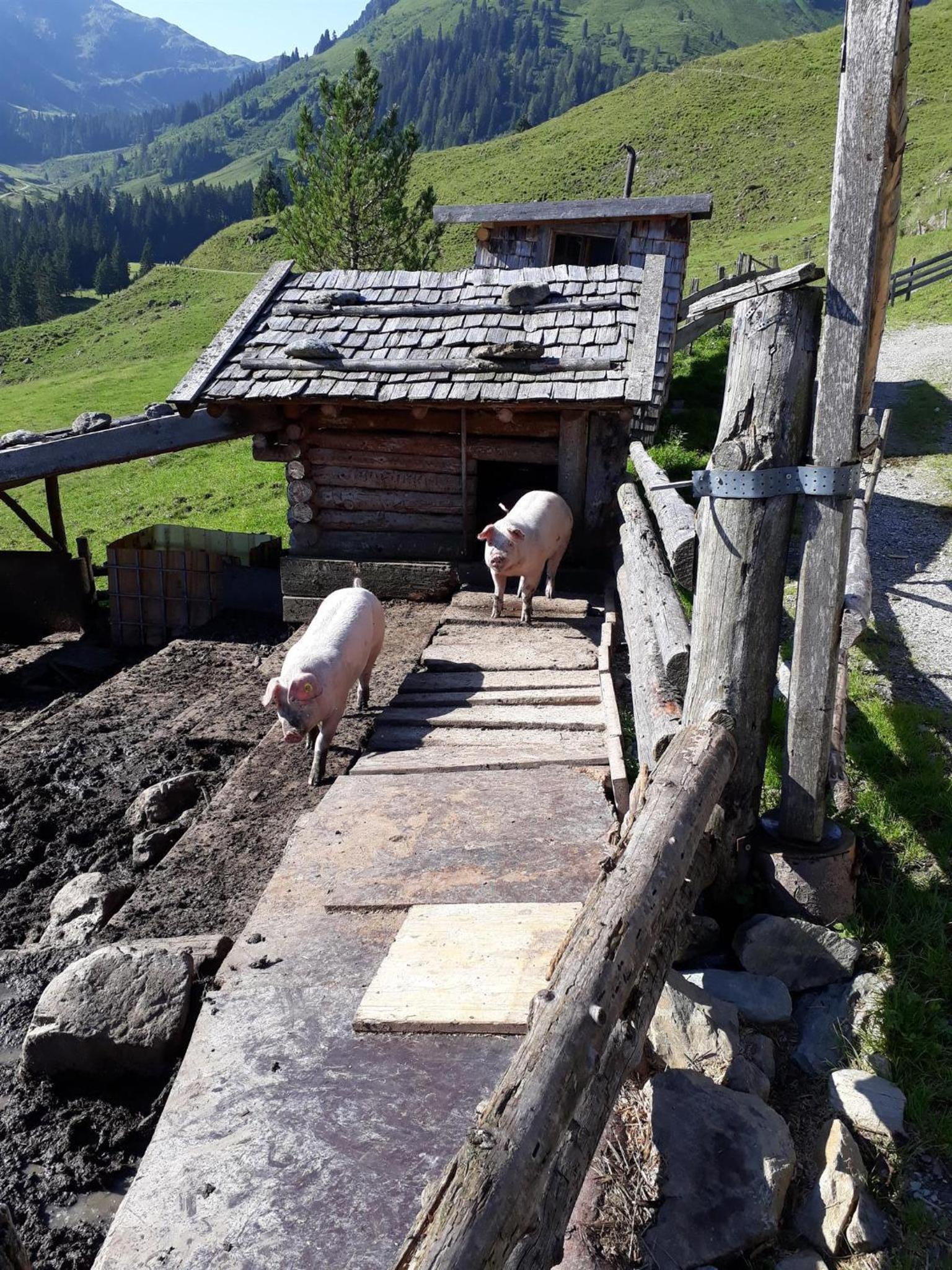 Außer Roßmoos