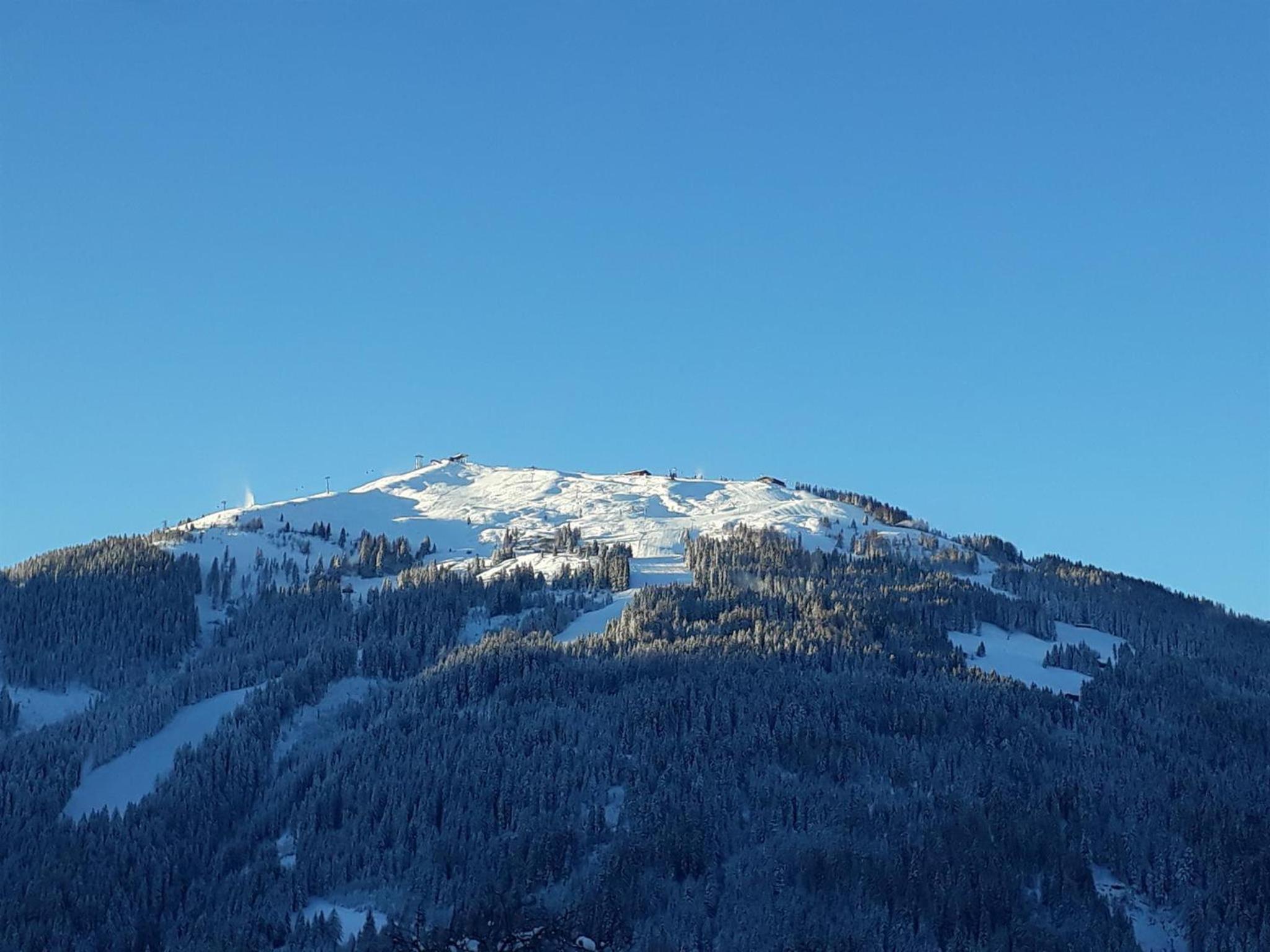 Außer Roßmoos
