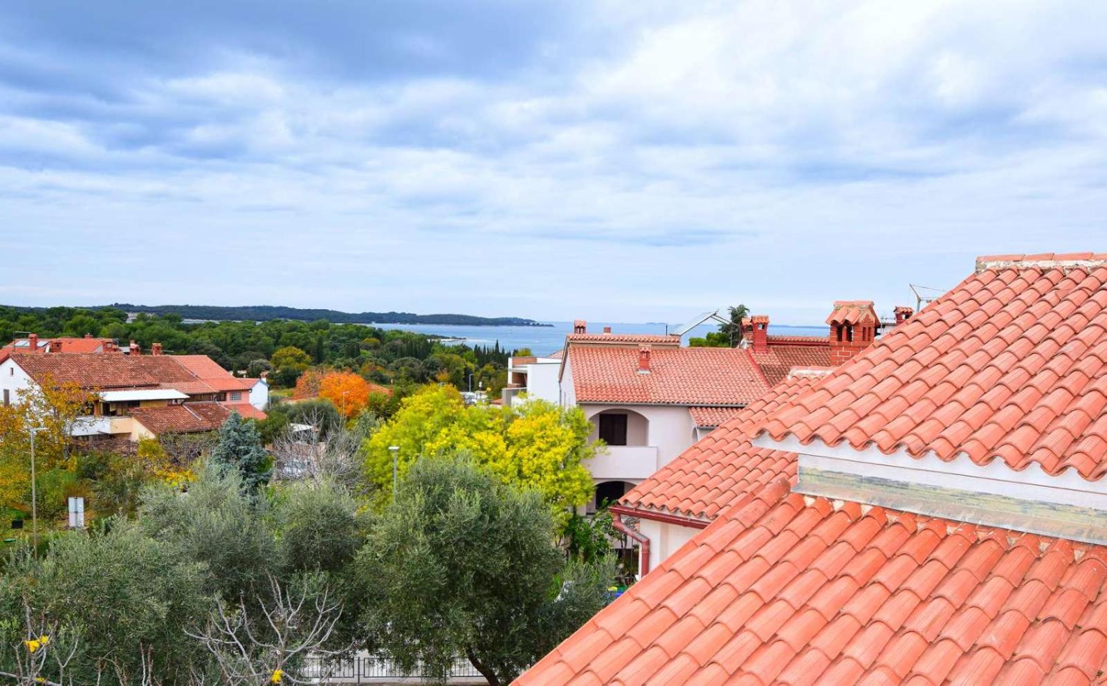 Holiday apartment Levak 2 view 3