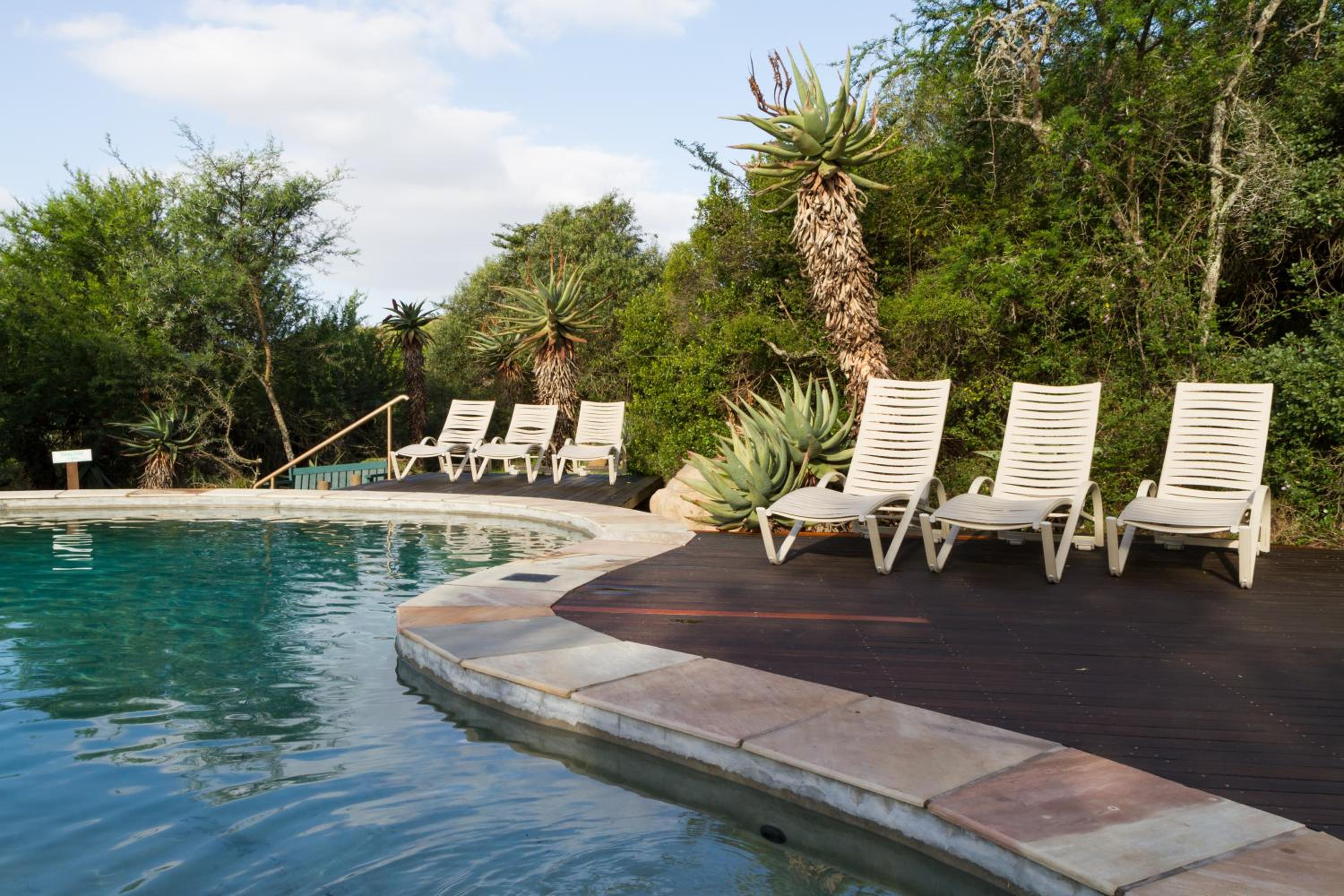 Stonehill River Lodge by Dream Resorts