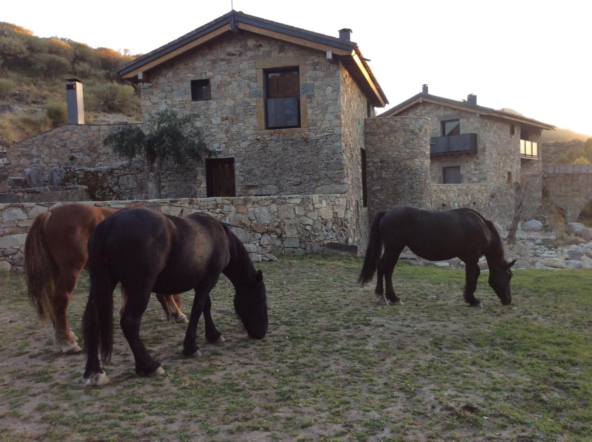 Hotel Gredos María Justina