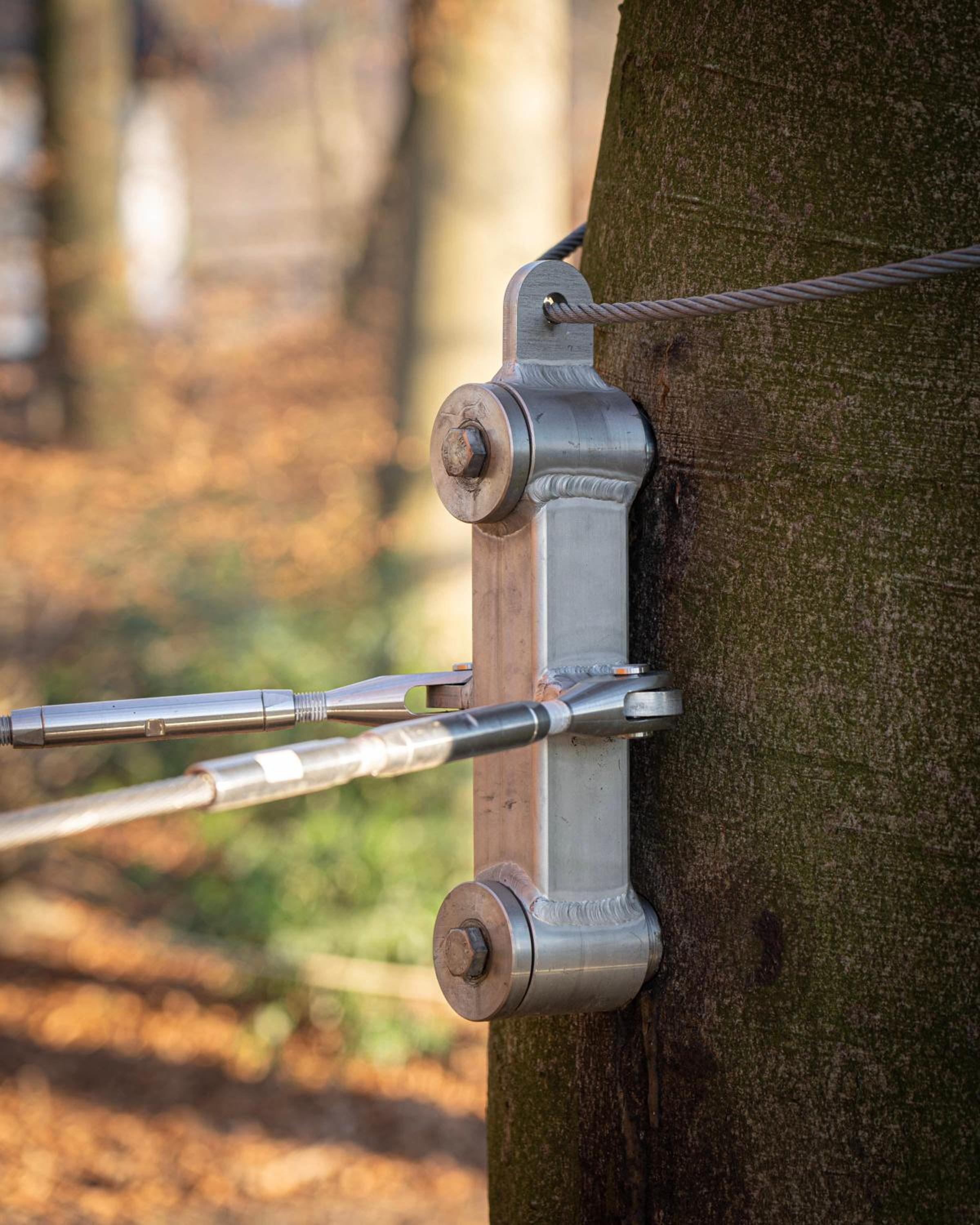 Treeangle - K1 Baumhaus