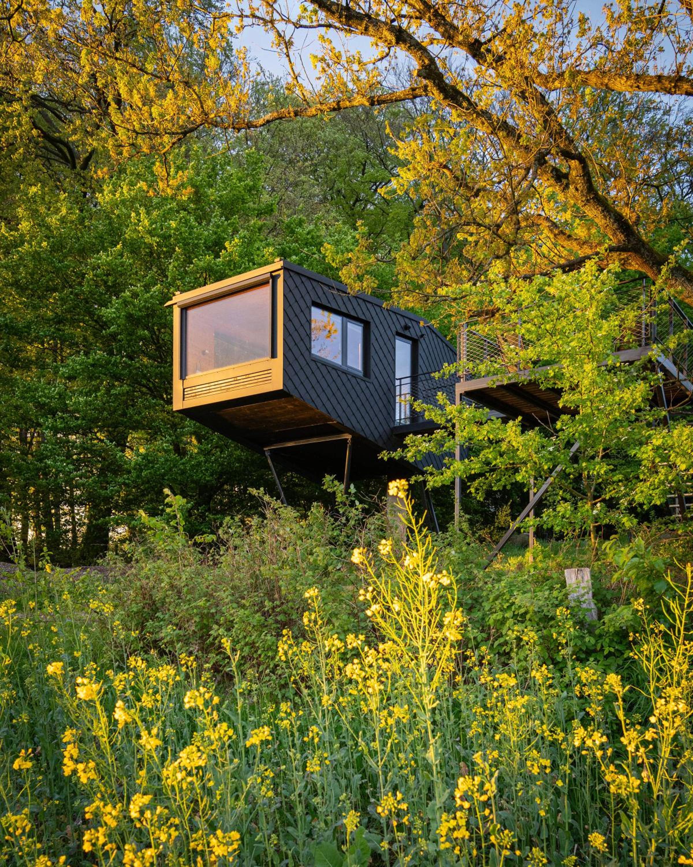 Treeangle - K1 Baumhaus