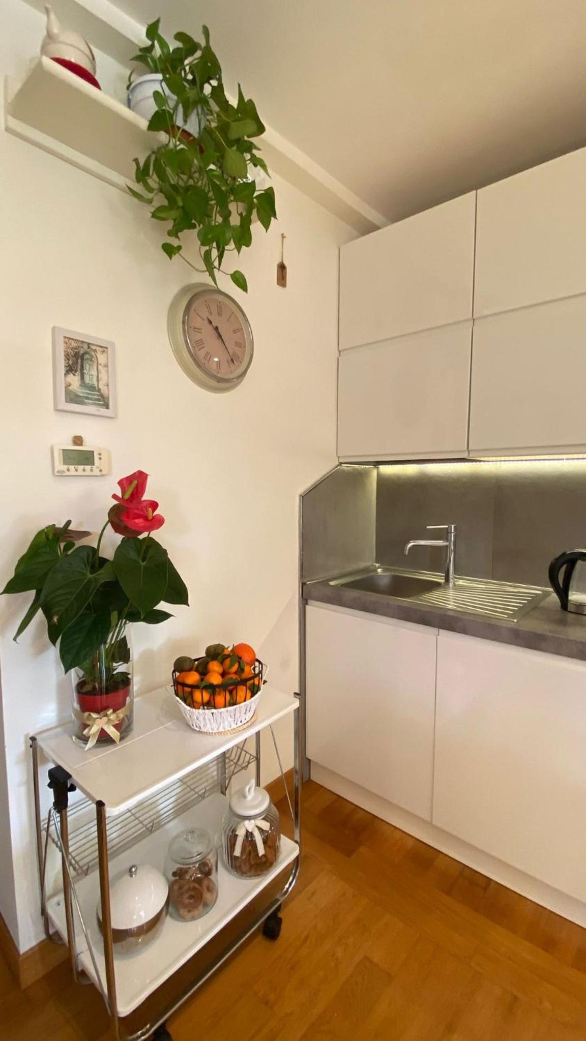 Gemelli Flower's House
