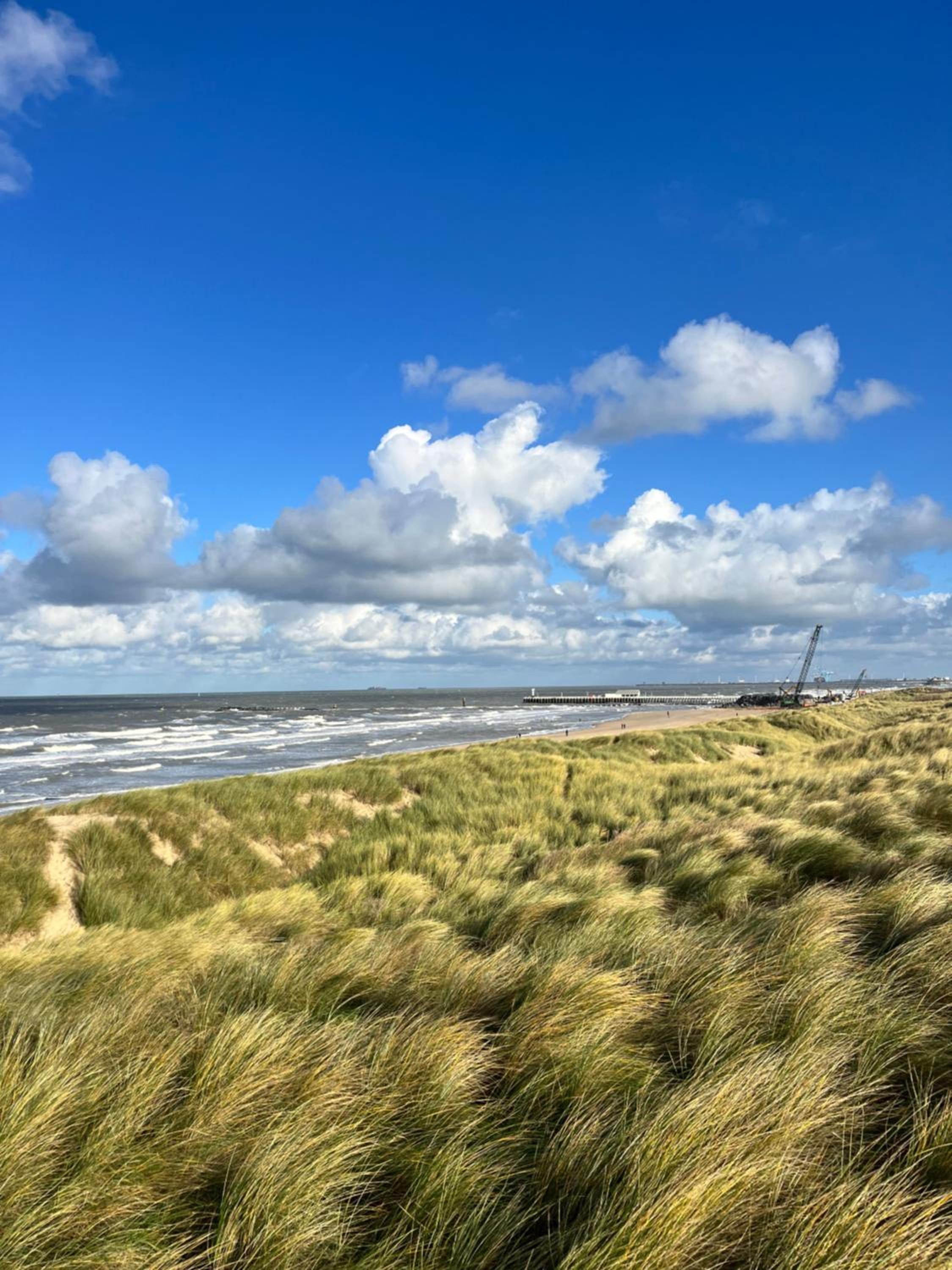 Dune Du Clémot