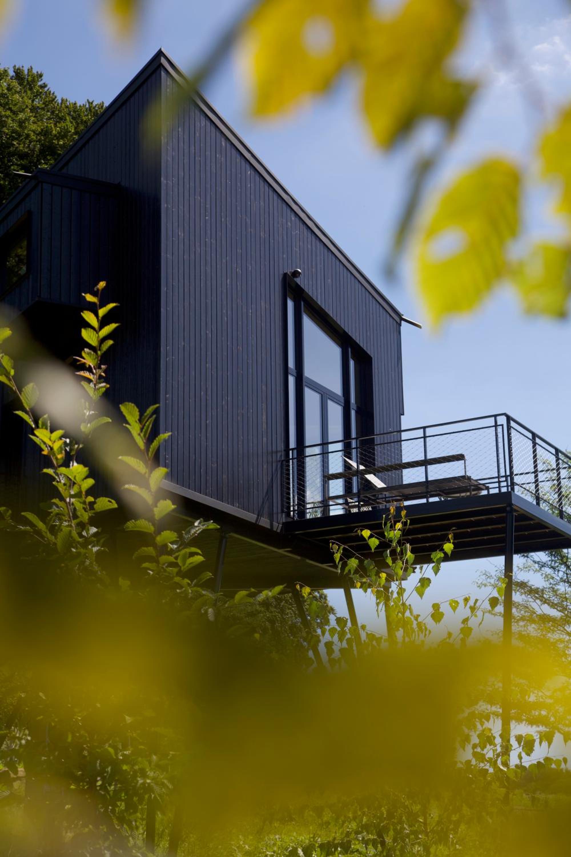 Treeangle - K1 Baumhaus