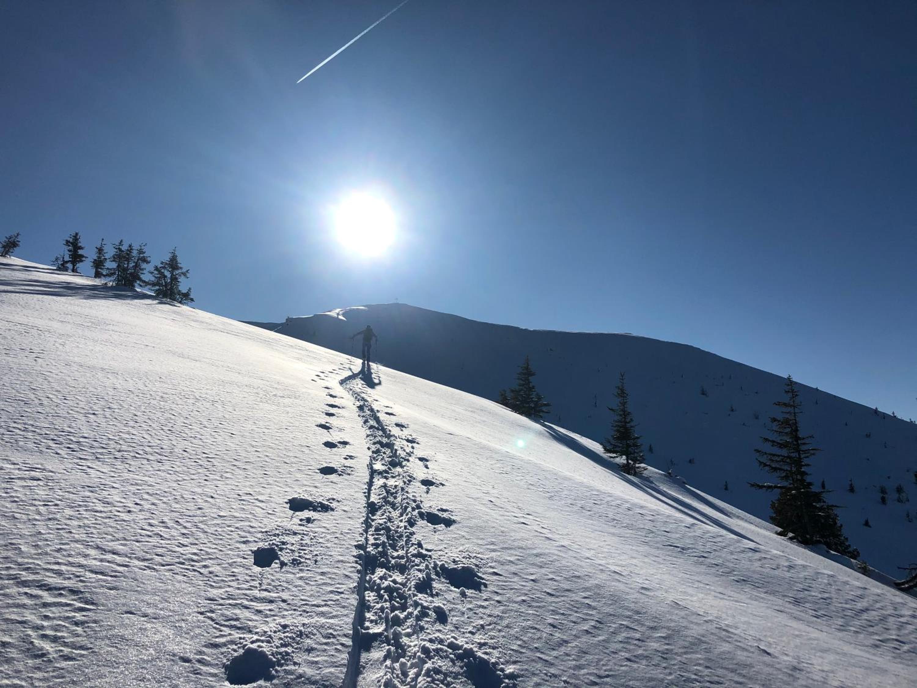 Landhaus Stieglschuster, middle of 5-Skiarea & mountain view 360
