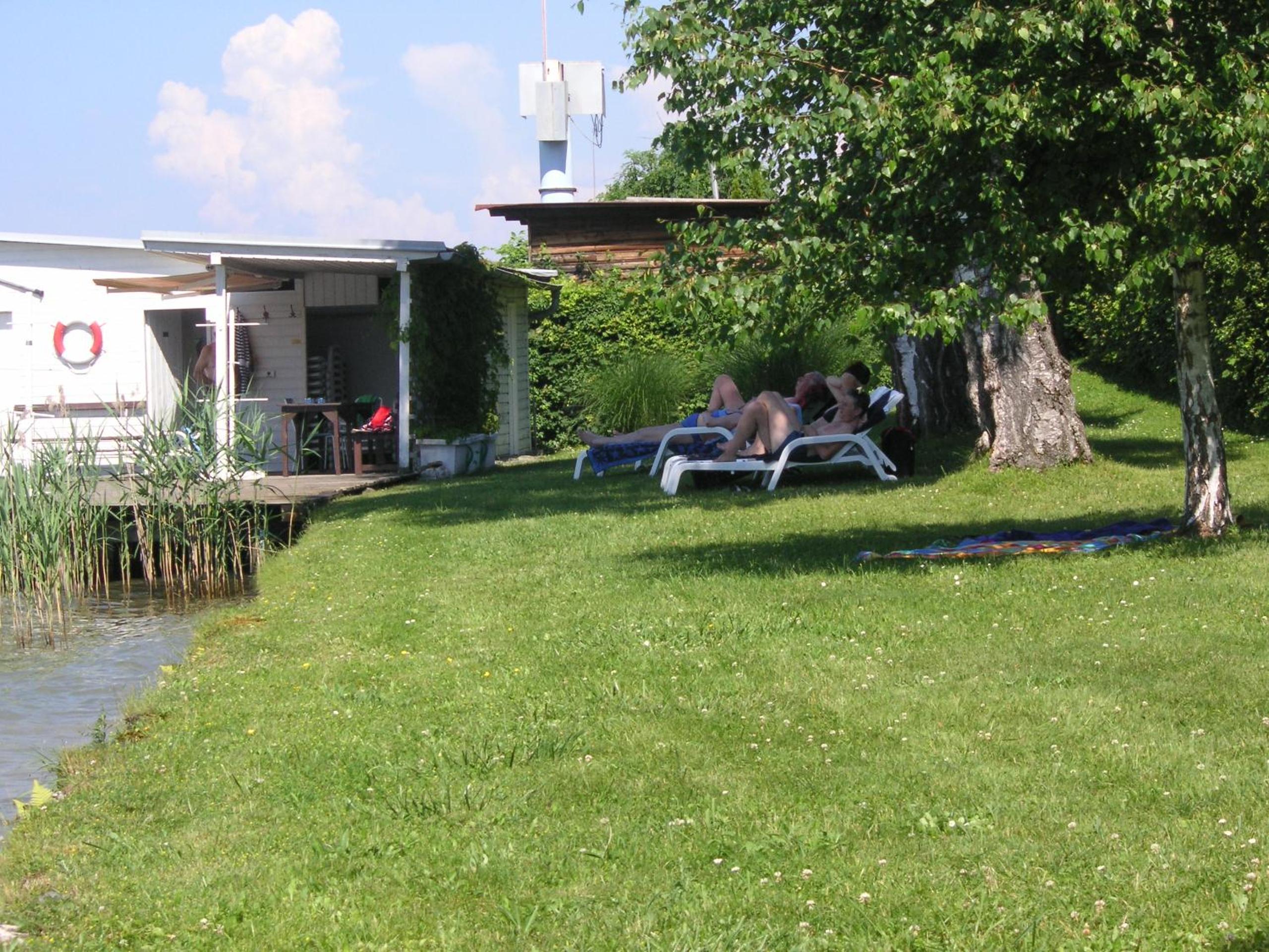 Photo 45