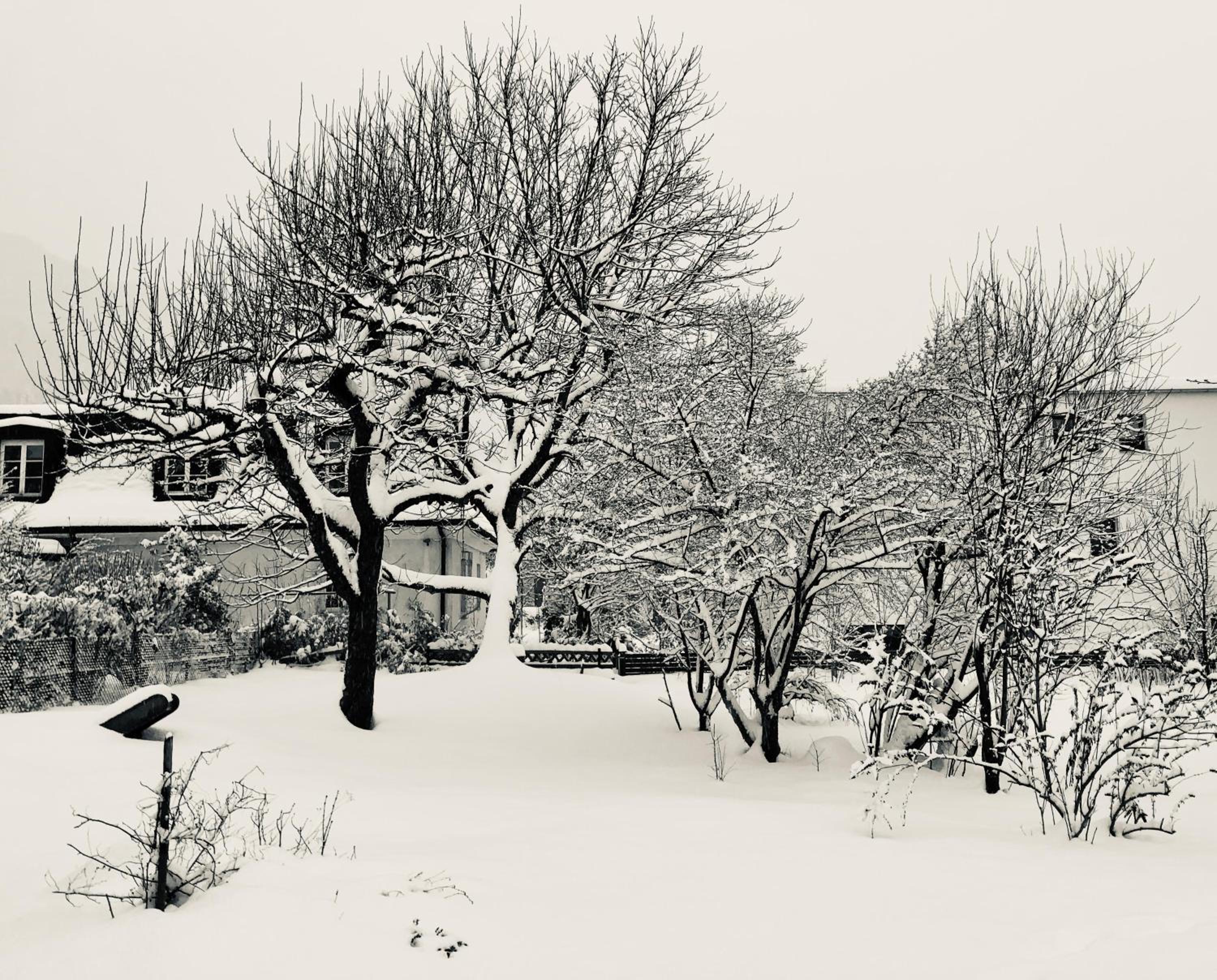 Villa Gartenblick