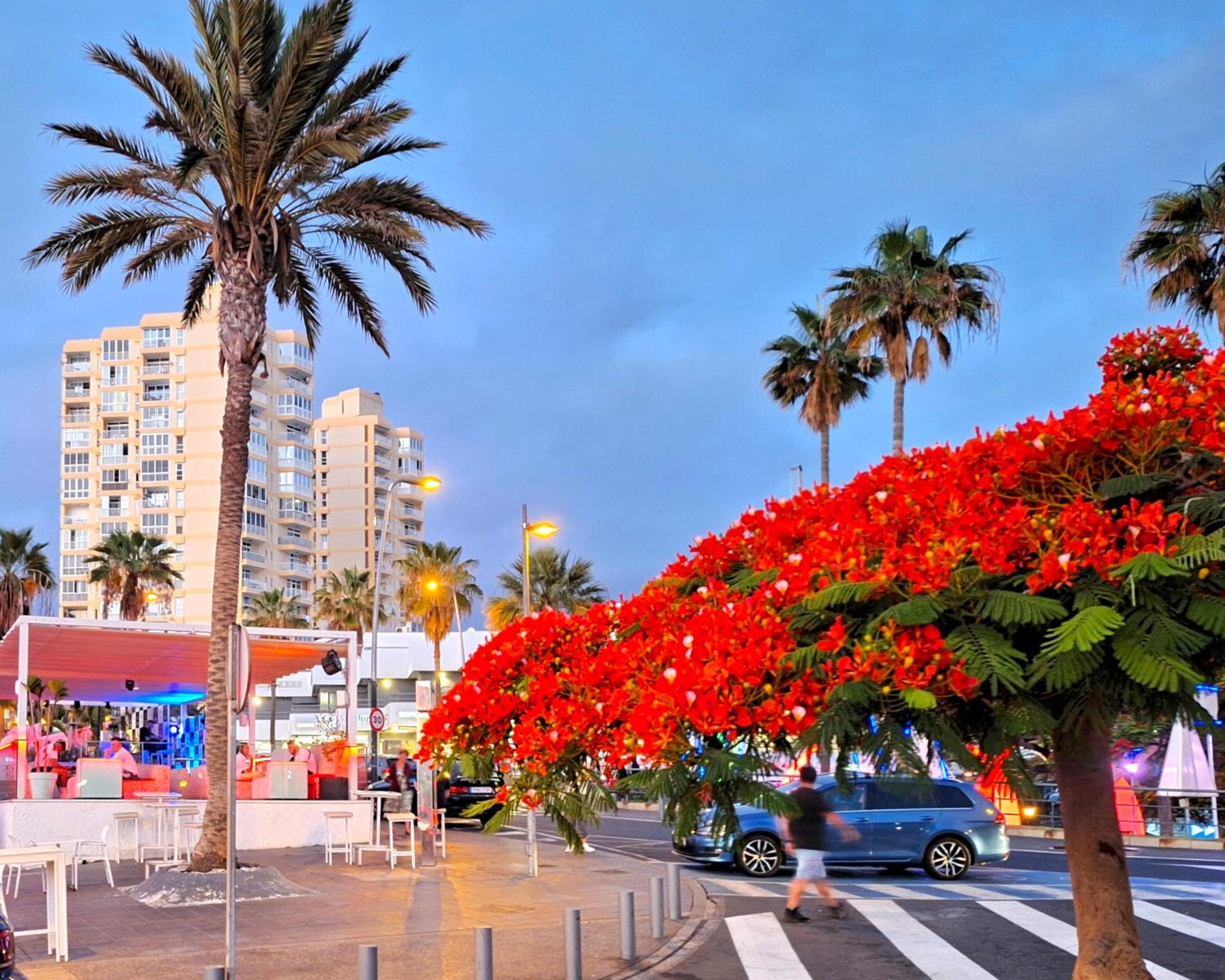 Las Americas Ocean Panorama