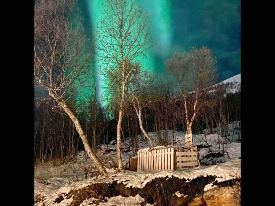 Cosy home - balcony with aurora view view 4