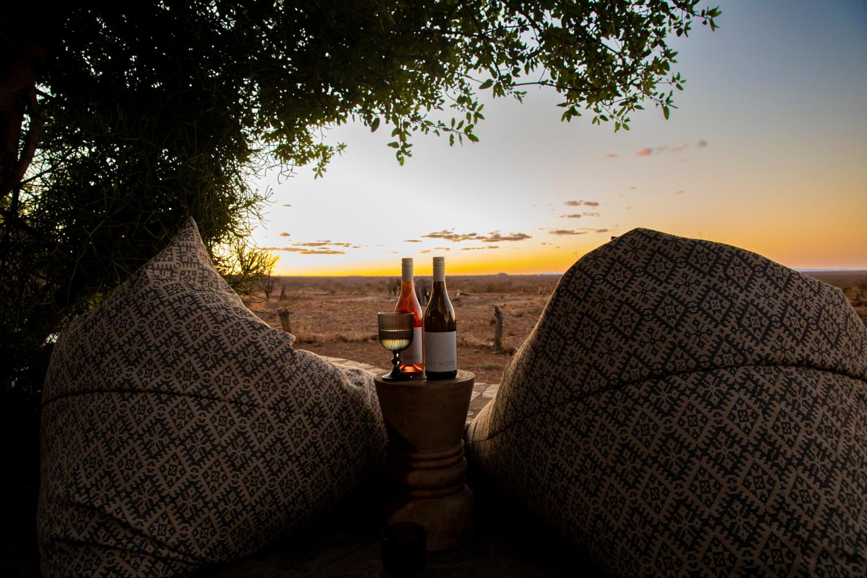 Last Word Madikwe