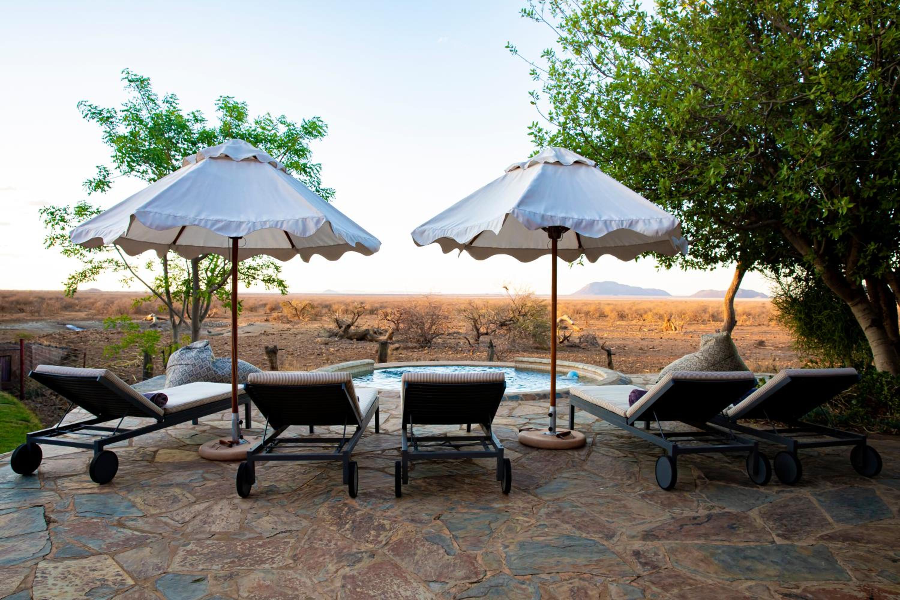 Last Word Madikwe