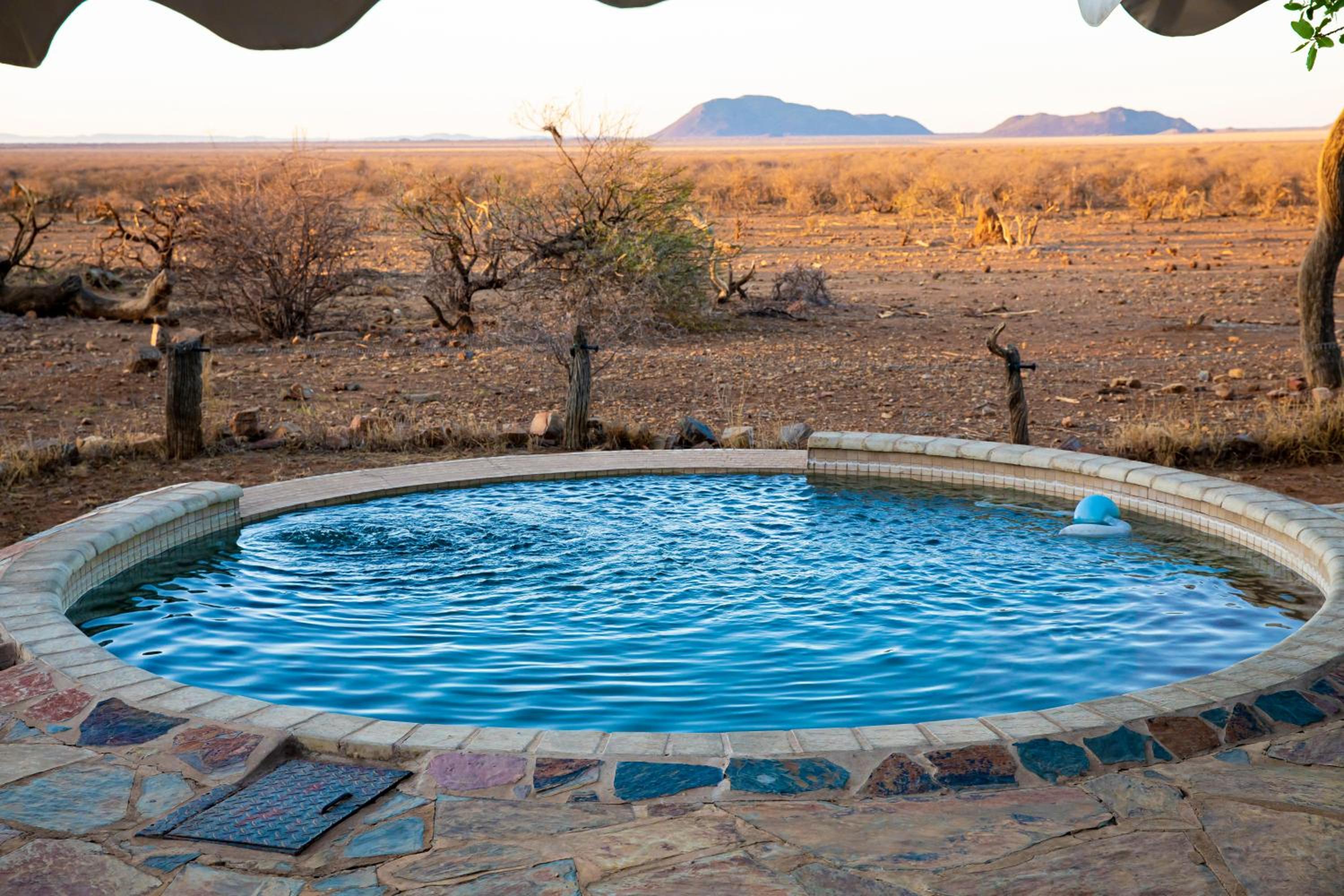 Last Word Madikwe