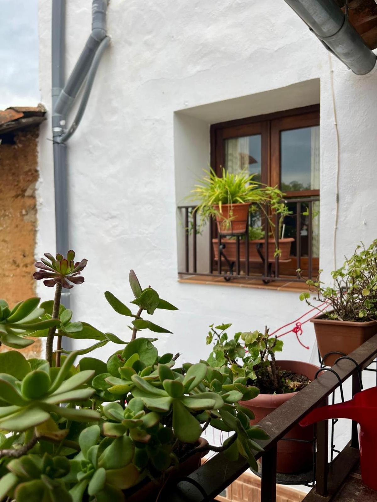 Casa Dolores la peluquera