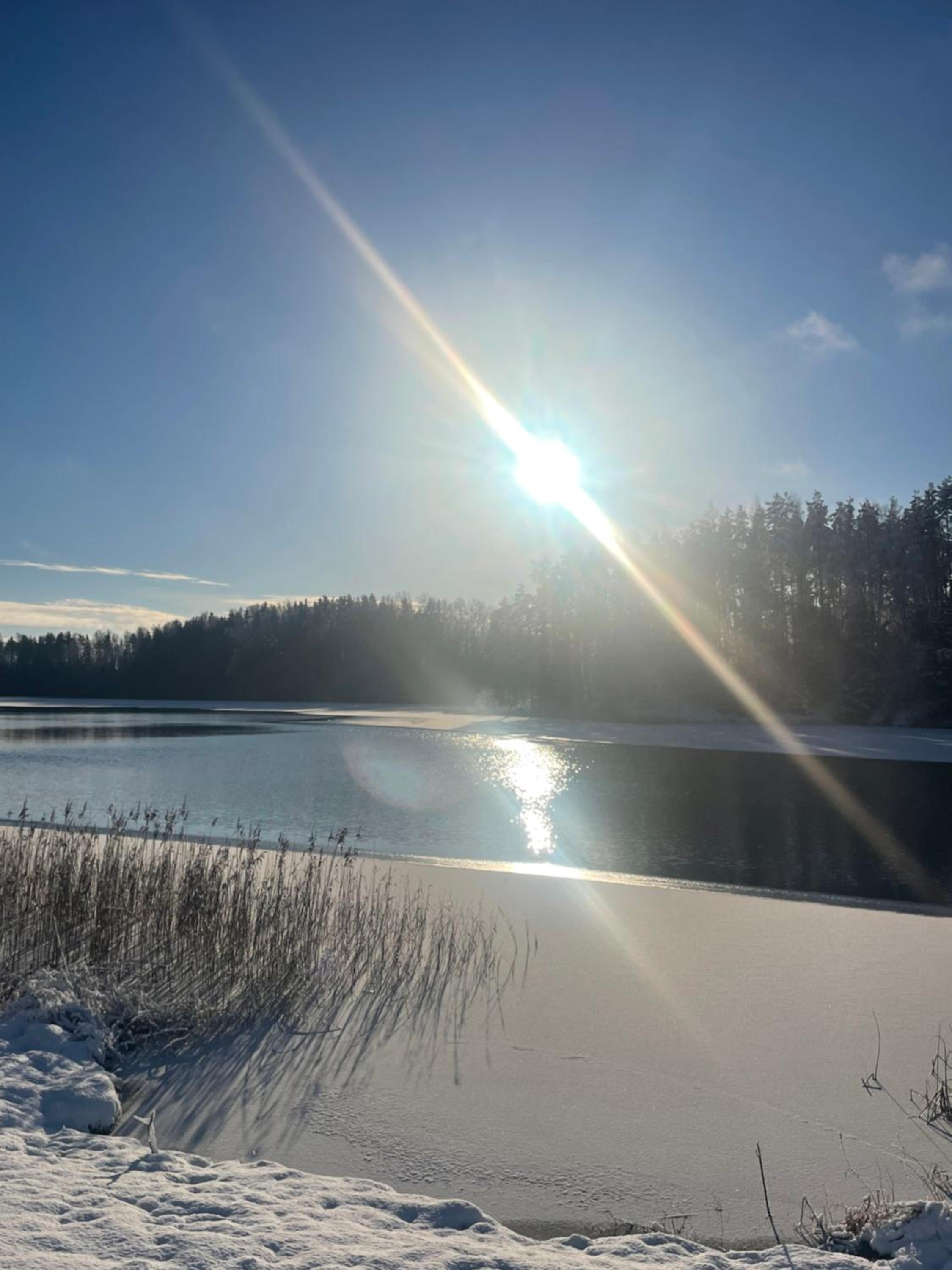 Paunküla Puhkemaja