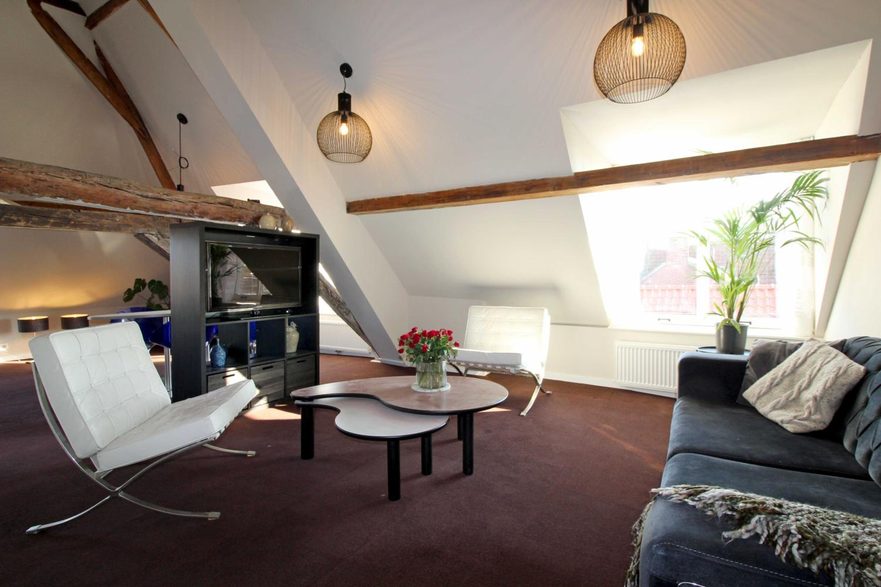 Huize de Lekpoort - The Stork Loft - Loft Apartment in Vianen Center