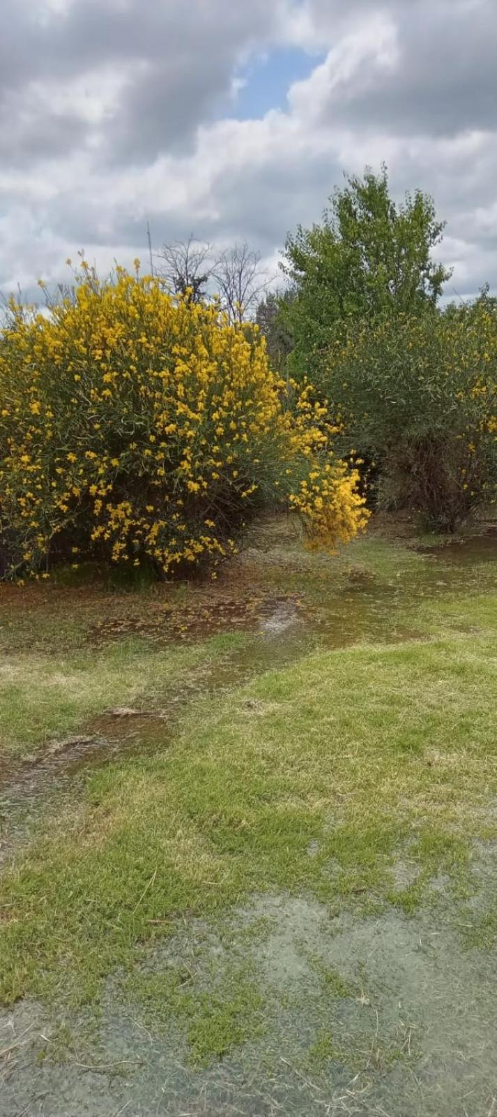 Terrunosdelvalle2