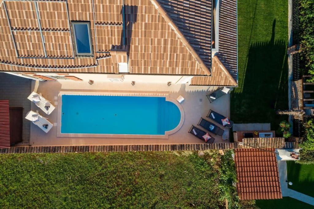 Casa Vivo by Briskva