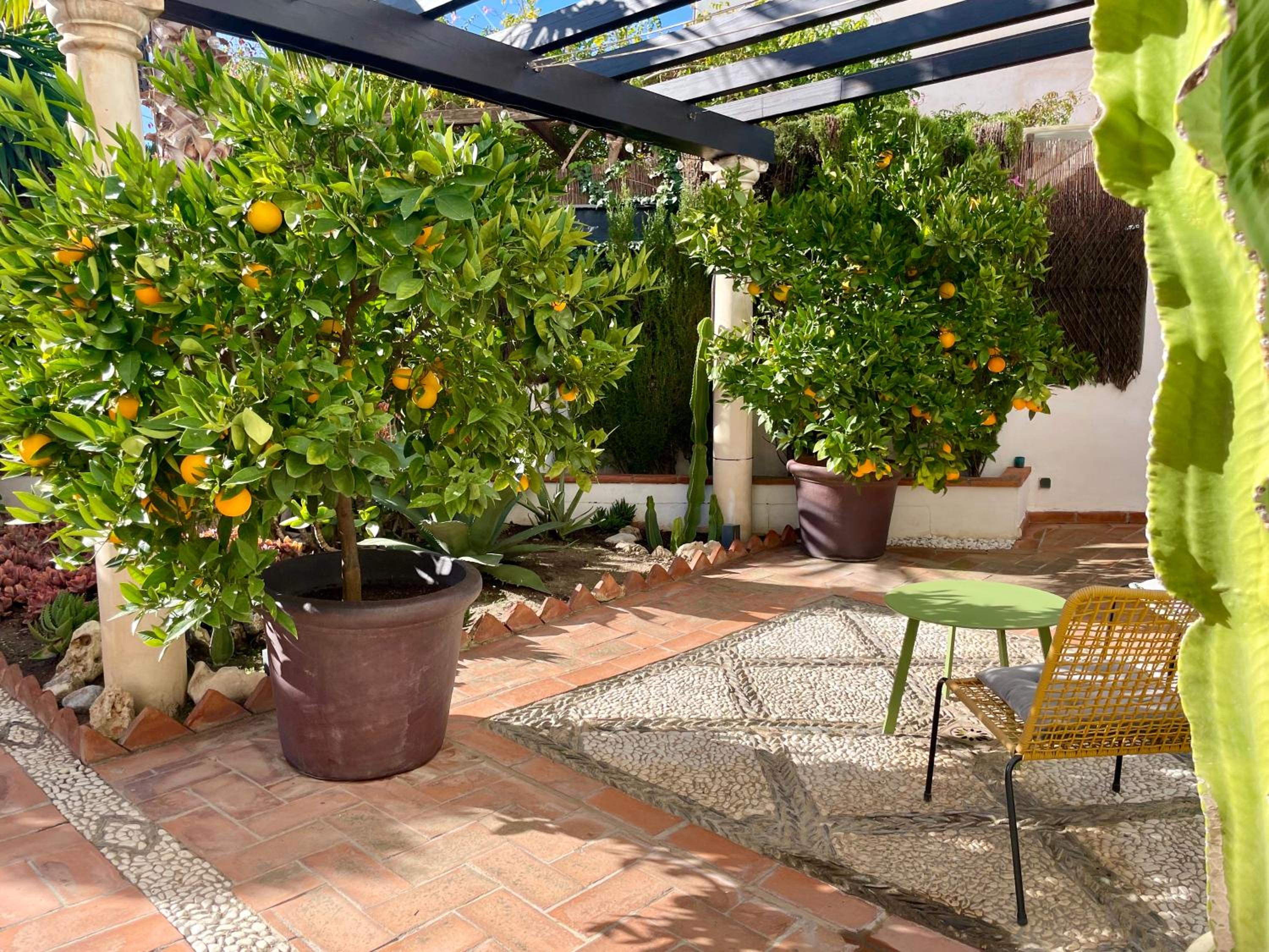 San Miguel B&B Granada view 3