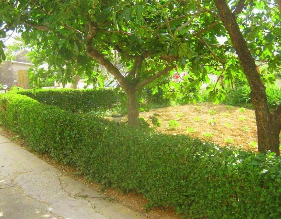 Photo 48