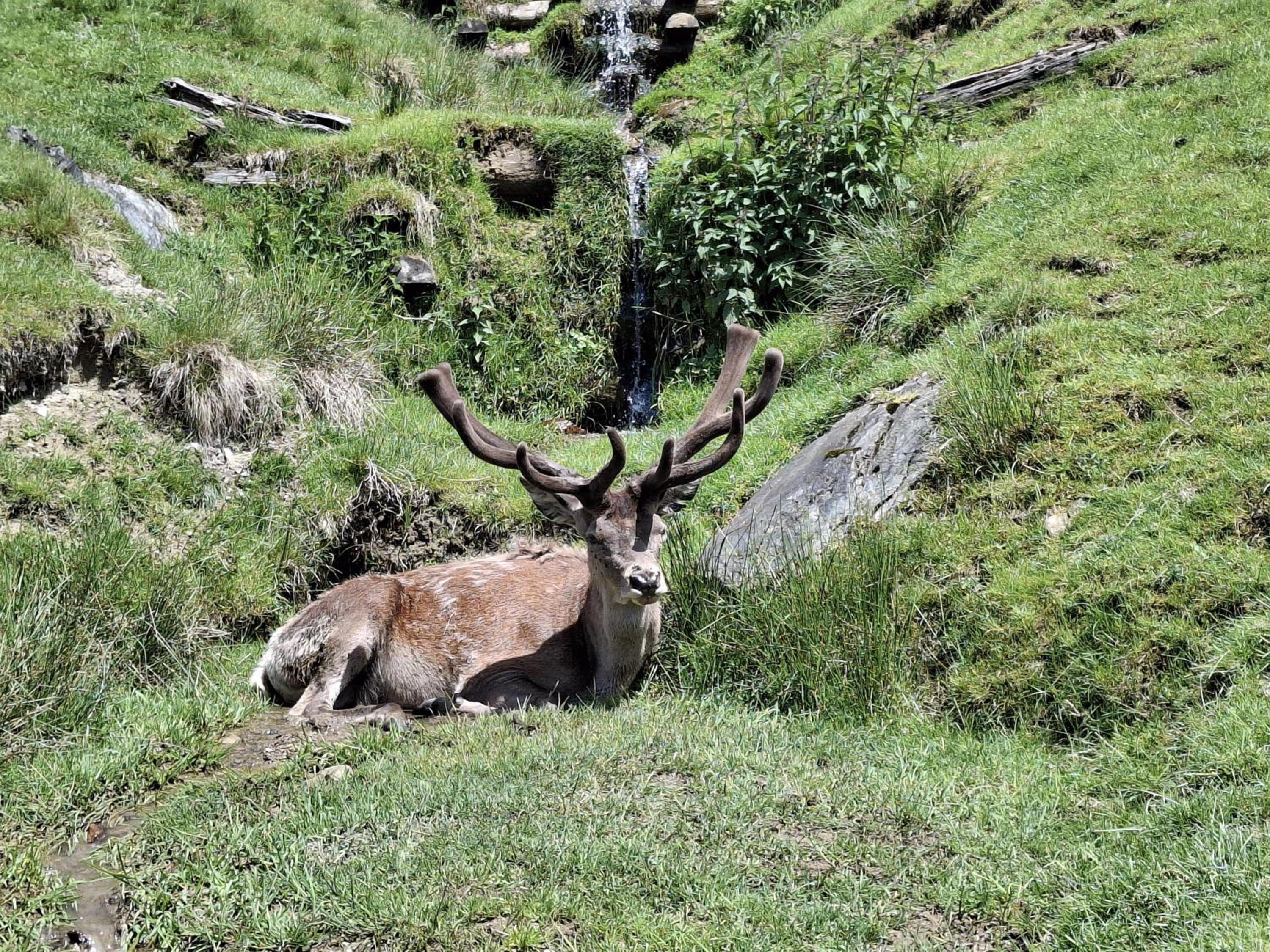 Lampererhof